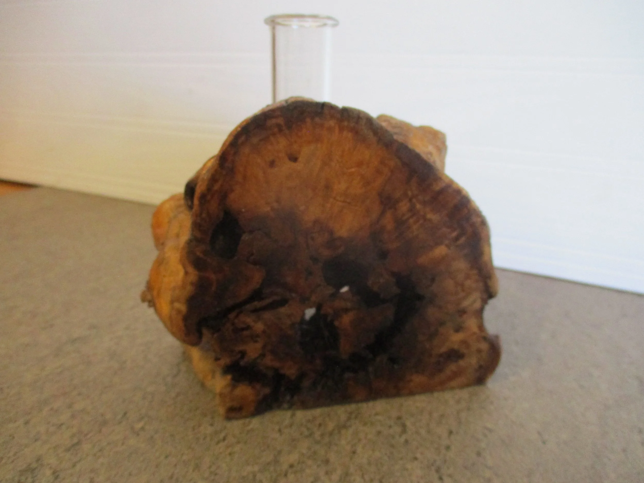 Cottonwood Burl Tuber Vase