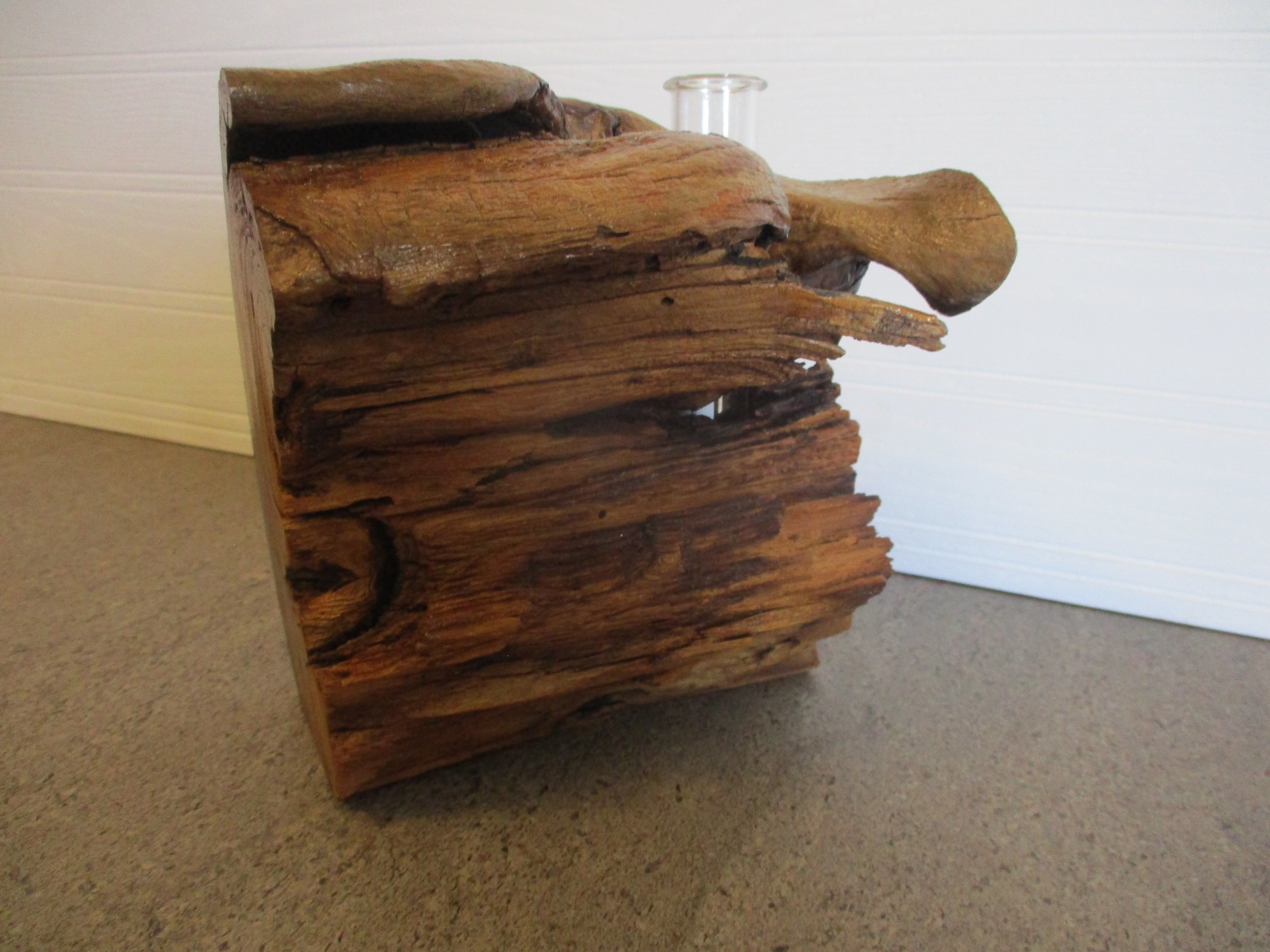 Elm Tuber Vase