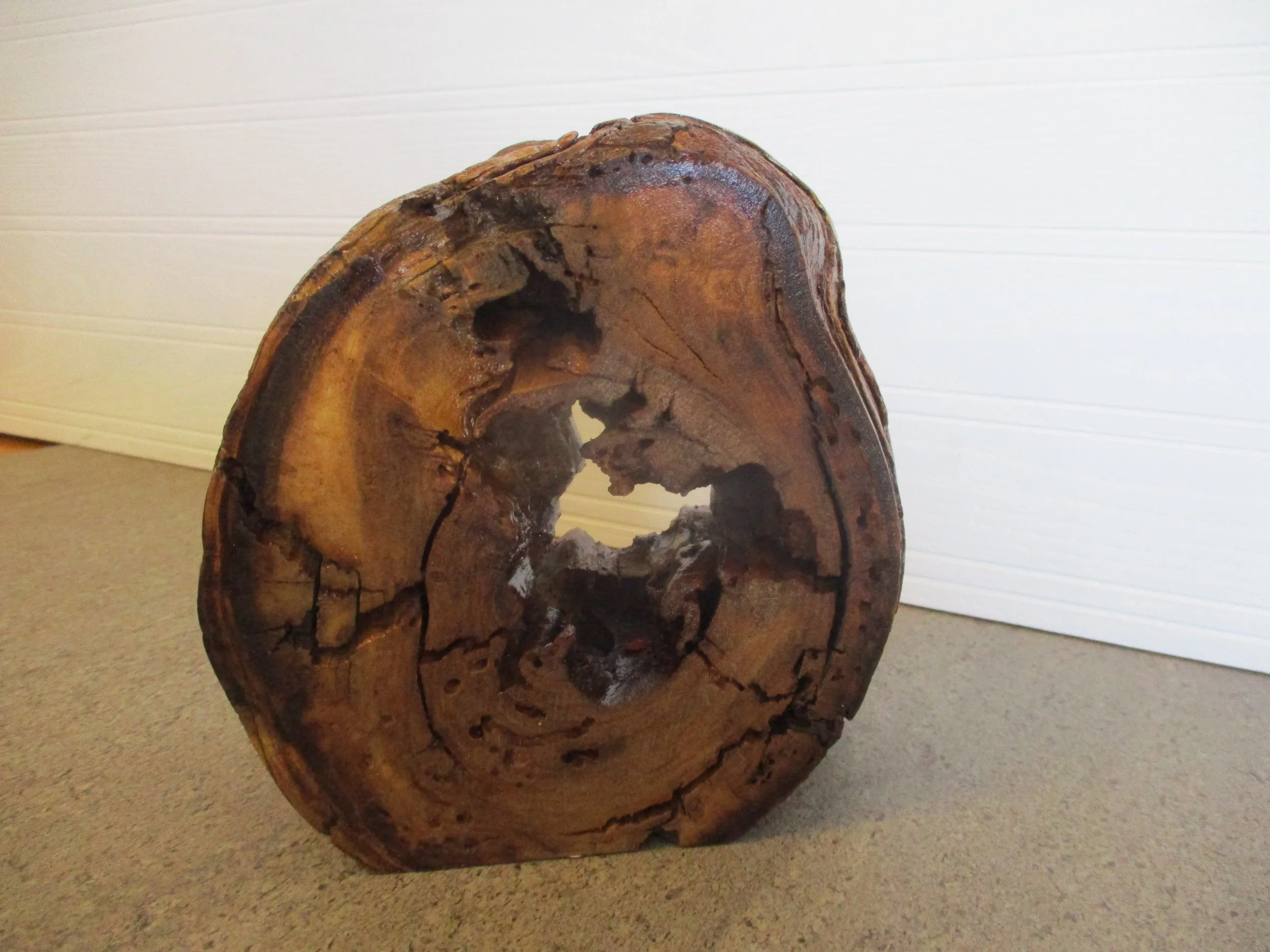 Cottonwood Tuber Vase