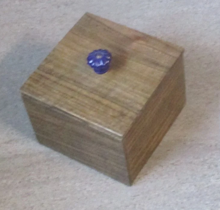 IMG_4504.png
