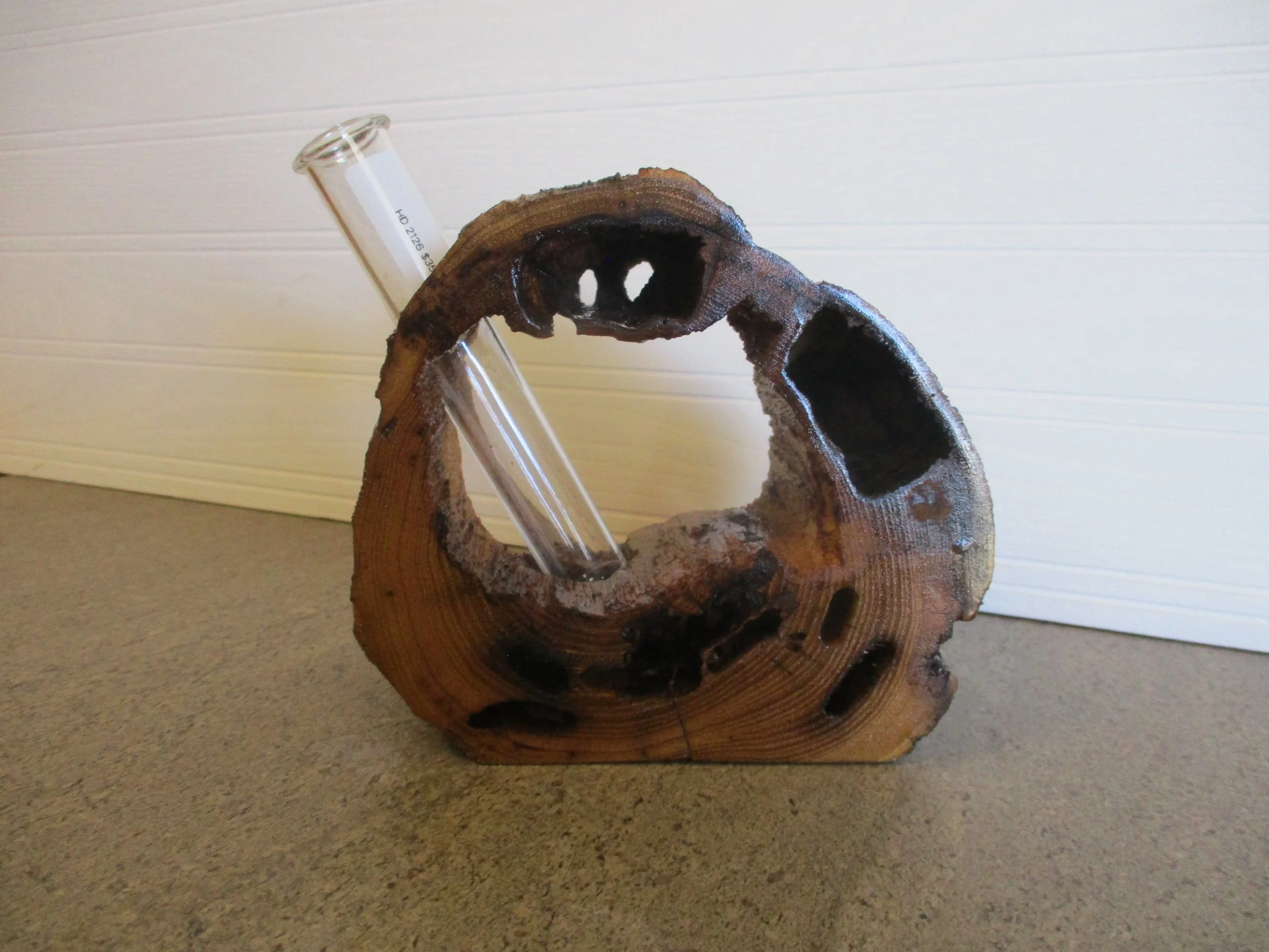 Black Locust Tuber Vase