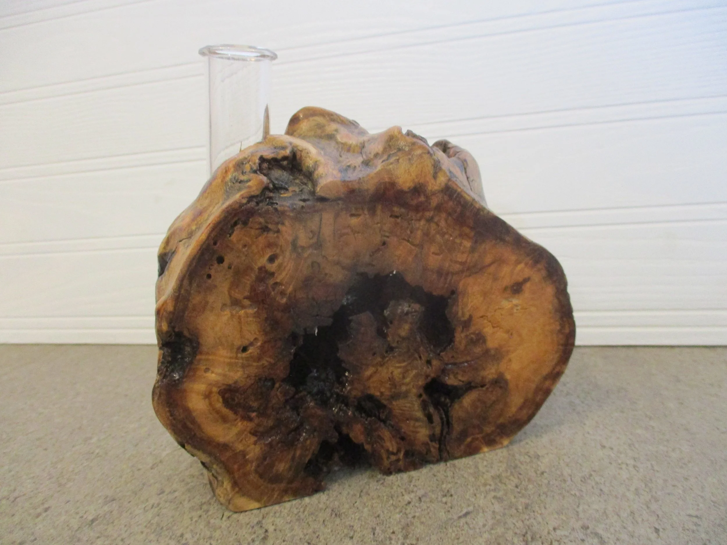 Cottonwood Burl Tuber Vase