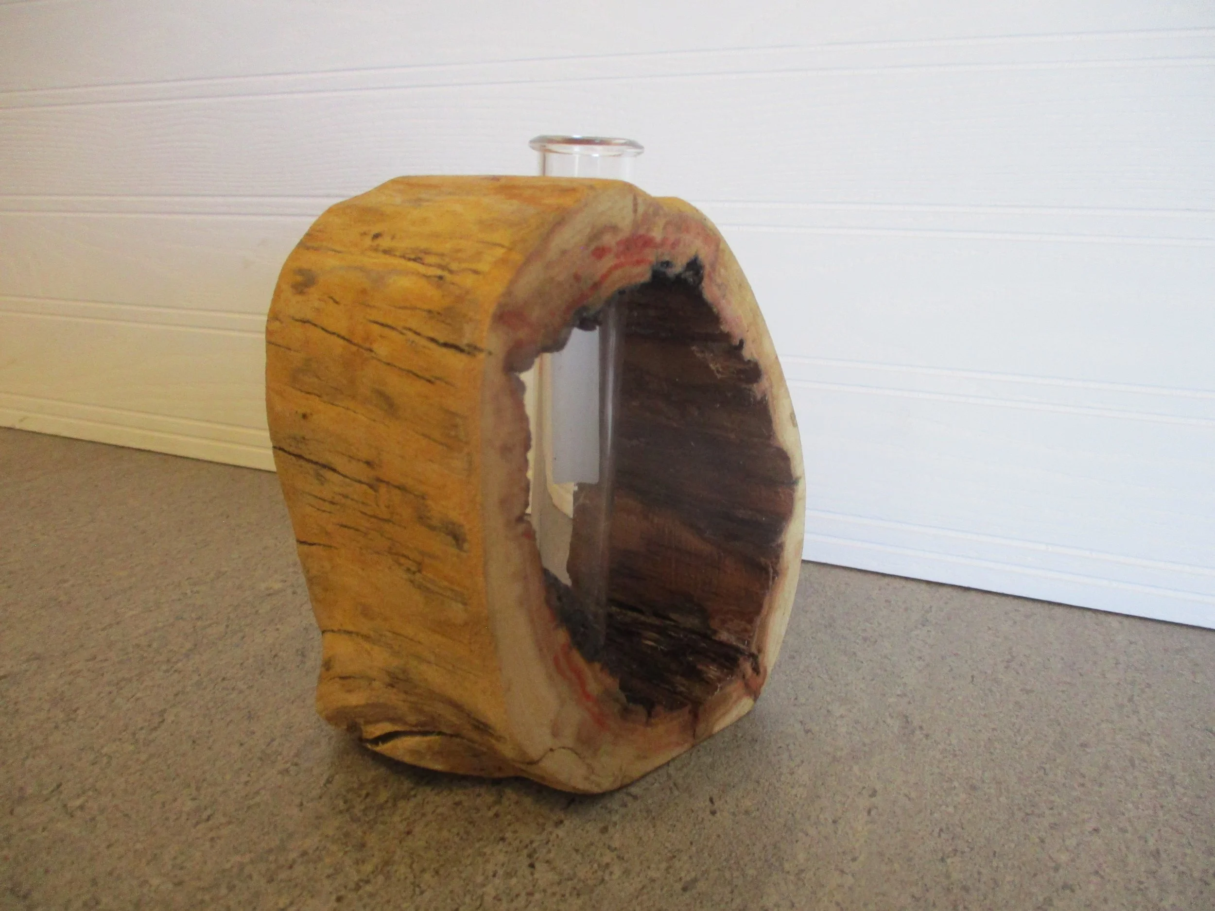 Boxelder Tuber Vase