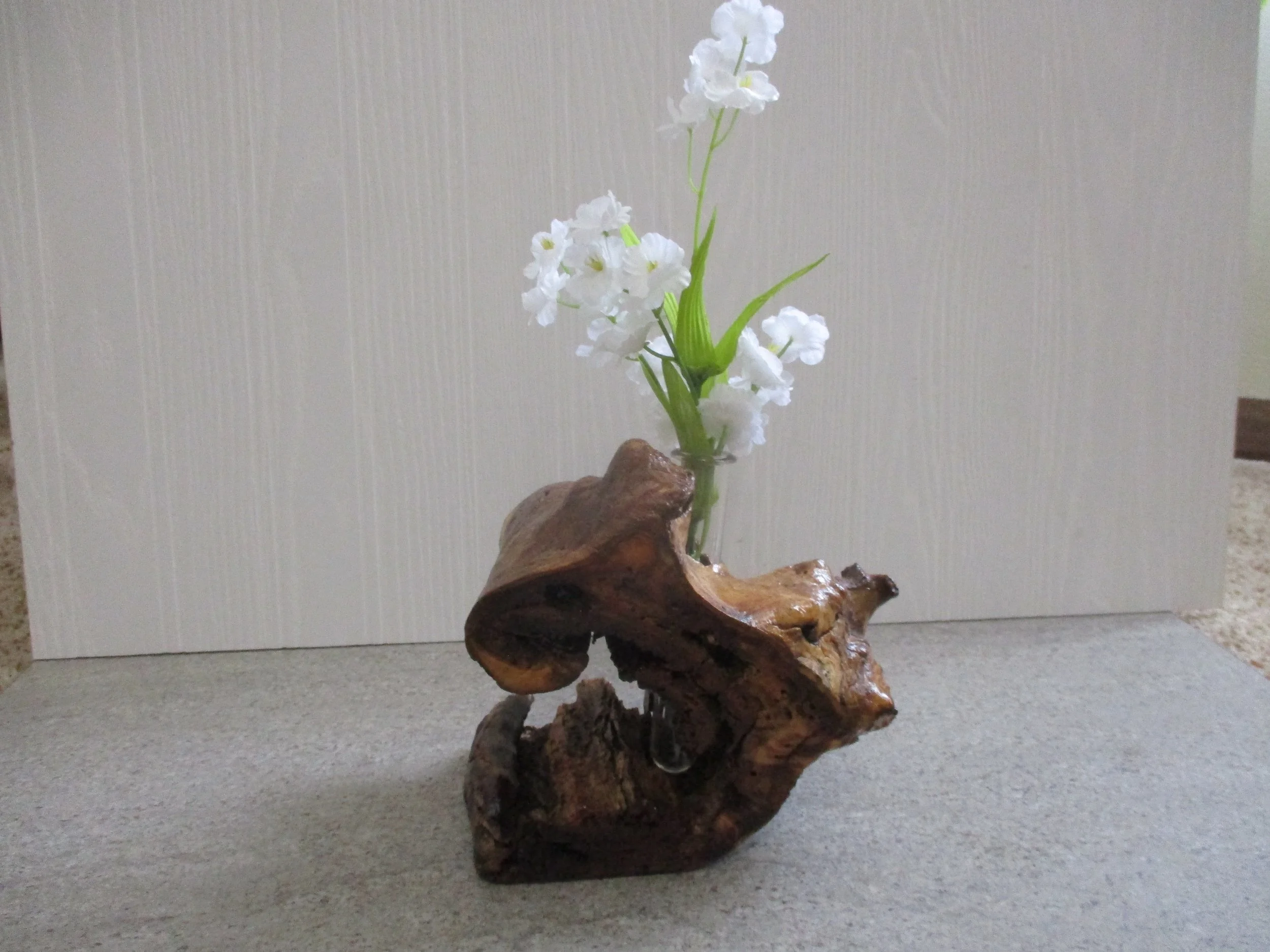 Cottonwood Tuber Vase