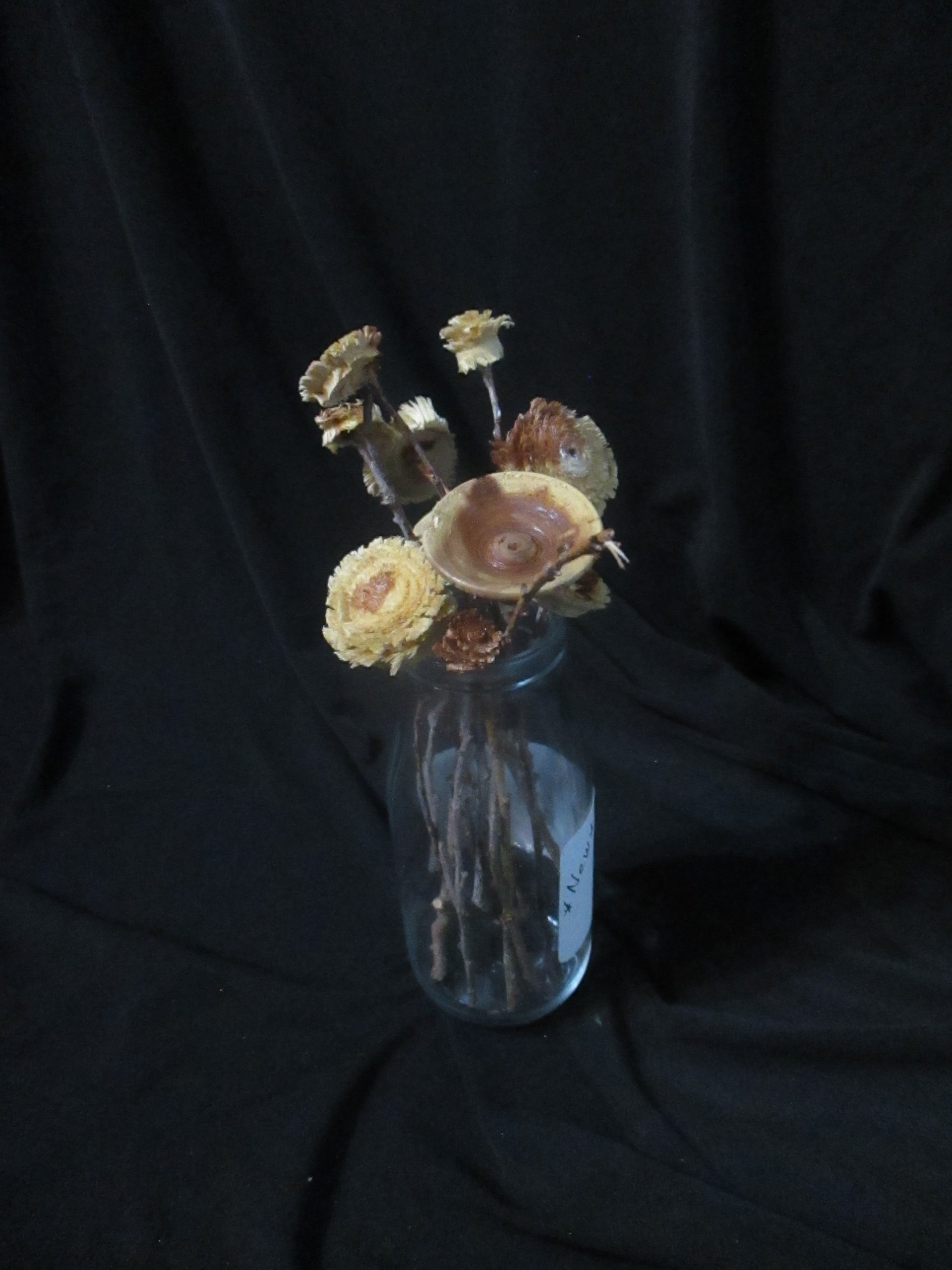 Cedar Flowers