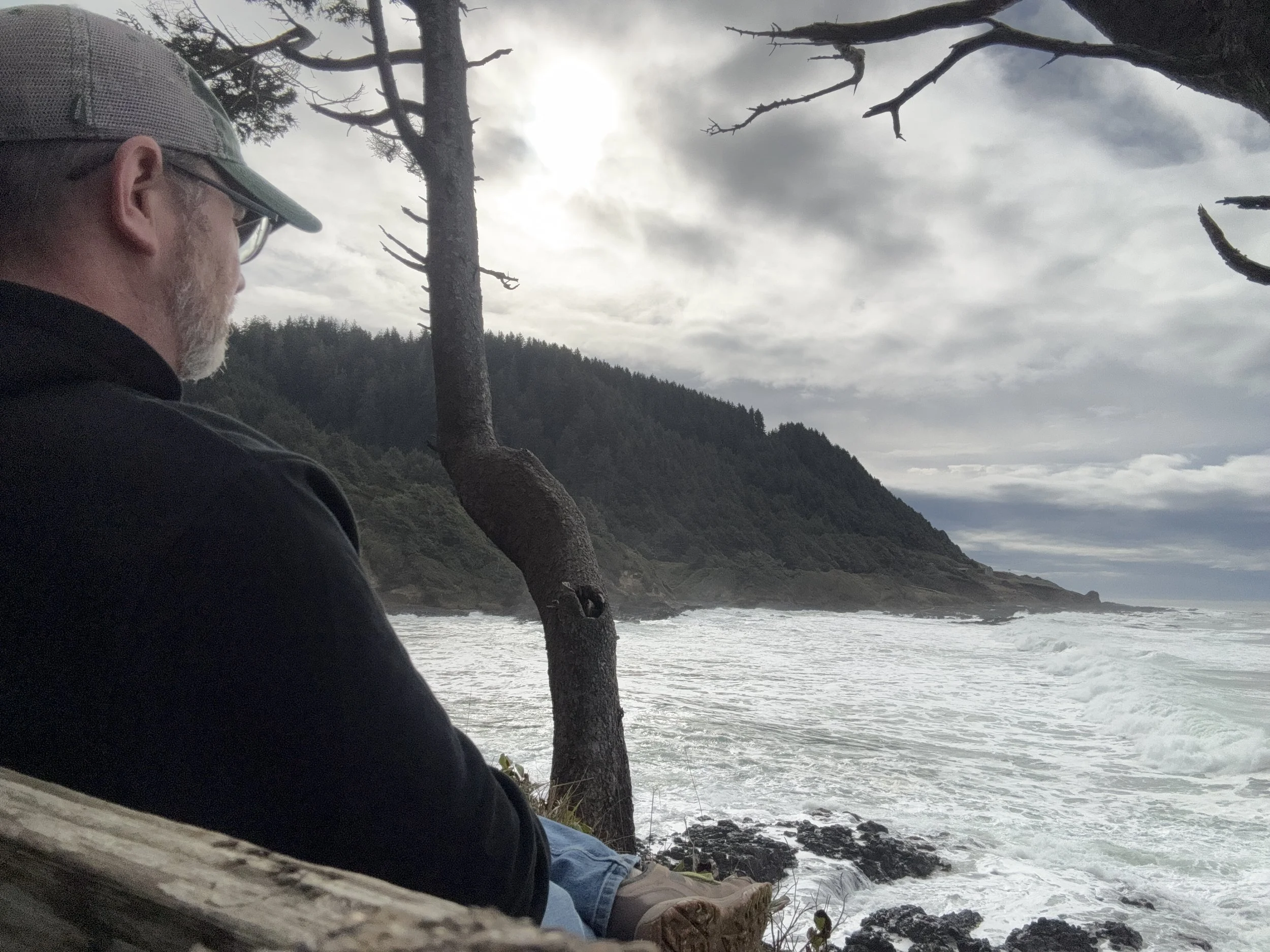 A man with glasses and a cap sitting on a bench by a rocky coastline, looking out at the ocean and a tree with bare branches, with cloud-covered sky and distant forested hills.