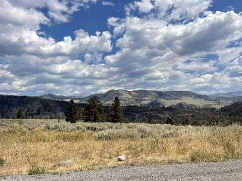 Brai's Beautiful Pic.jpg