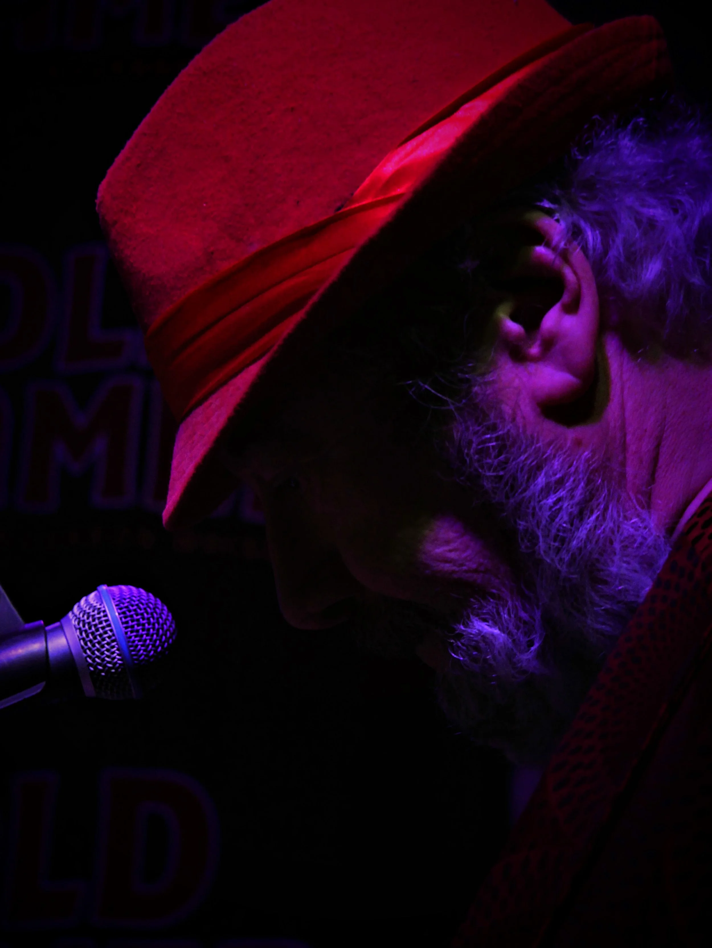 Mike Morris dazzling the audience on the blues organ under the glowing lights of the world-famous Slippery Noodle in Indianapolis.