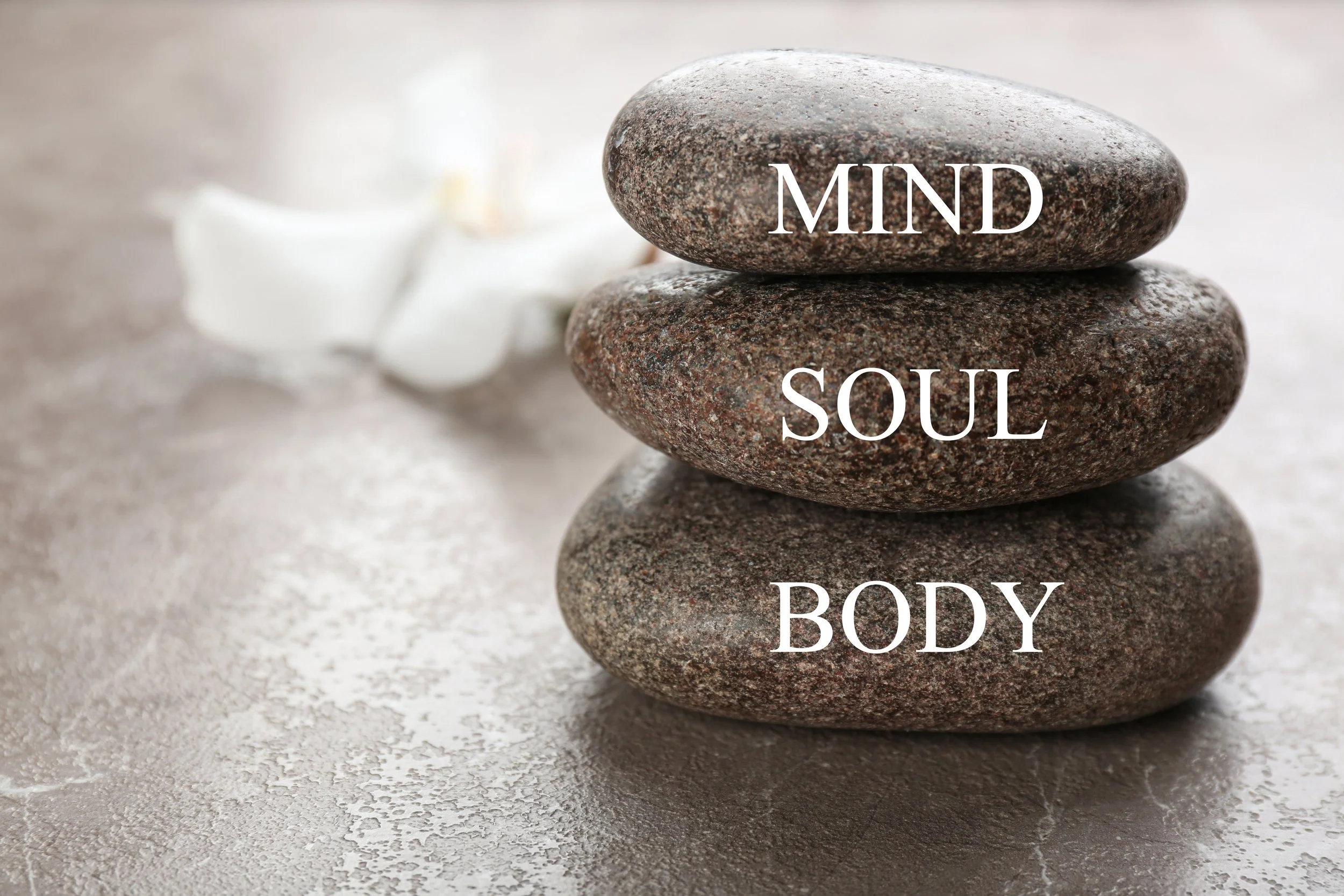 Relation between Soul, Mind, and Body