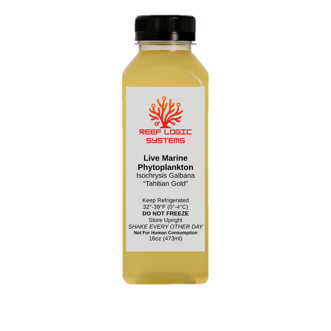 Isochrysis Galbana Phytoplankton