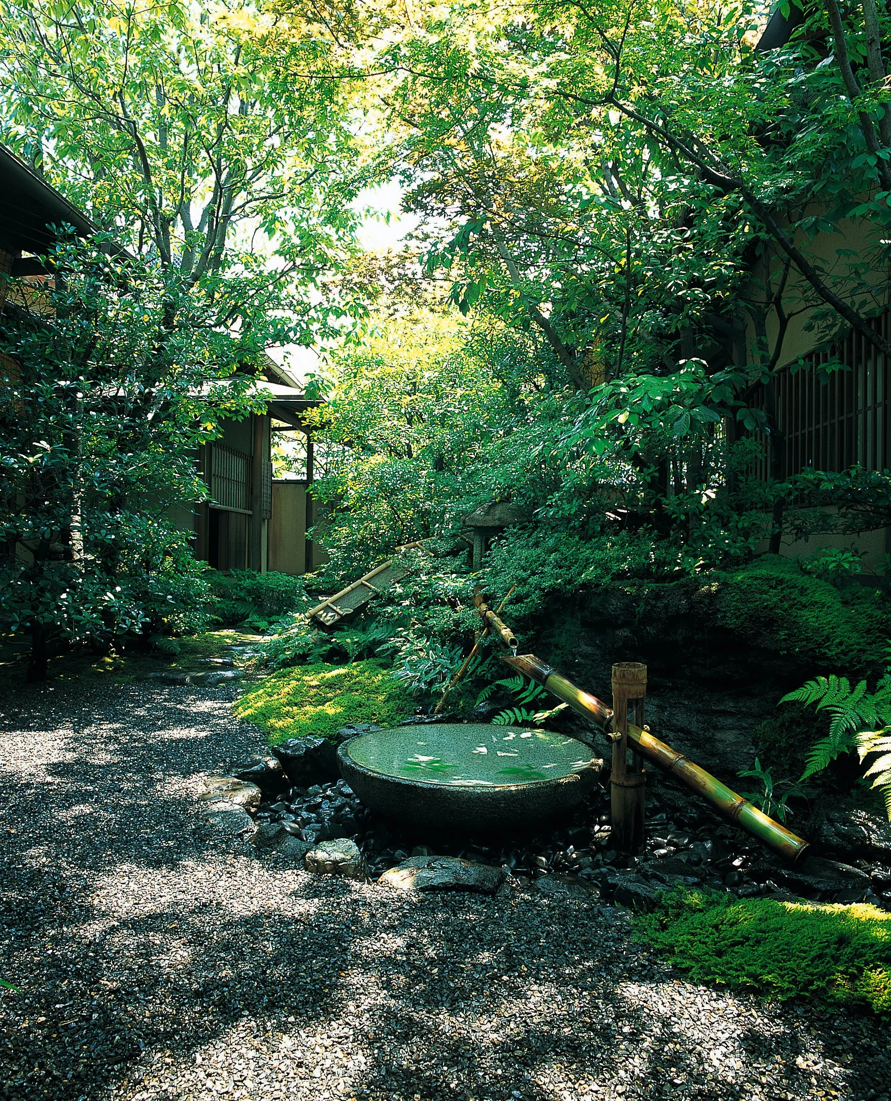 悟道庵点景 | 日本庭園の風景、苔と石と竹の水桶、木々の緑が茂る静かな庭園