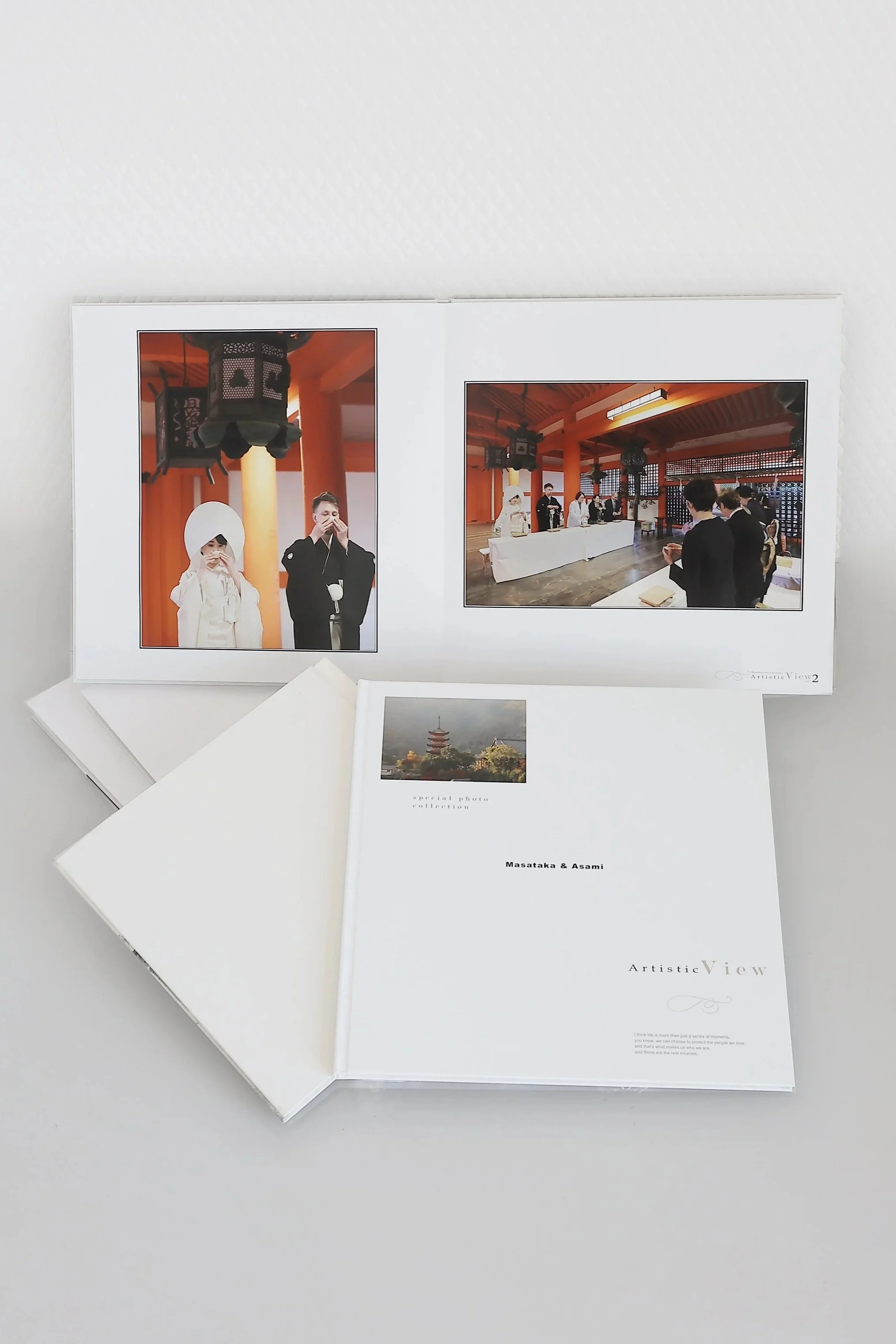 スナップアルバム「アーティスティックビュー」