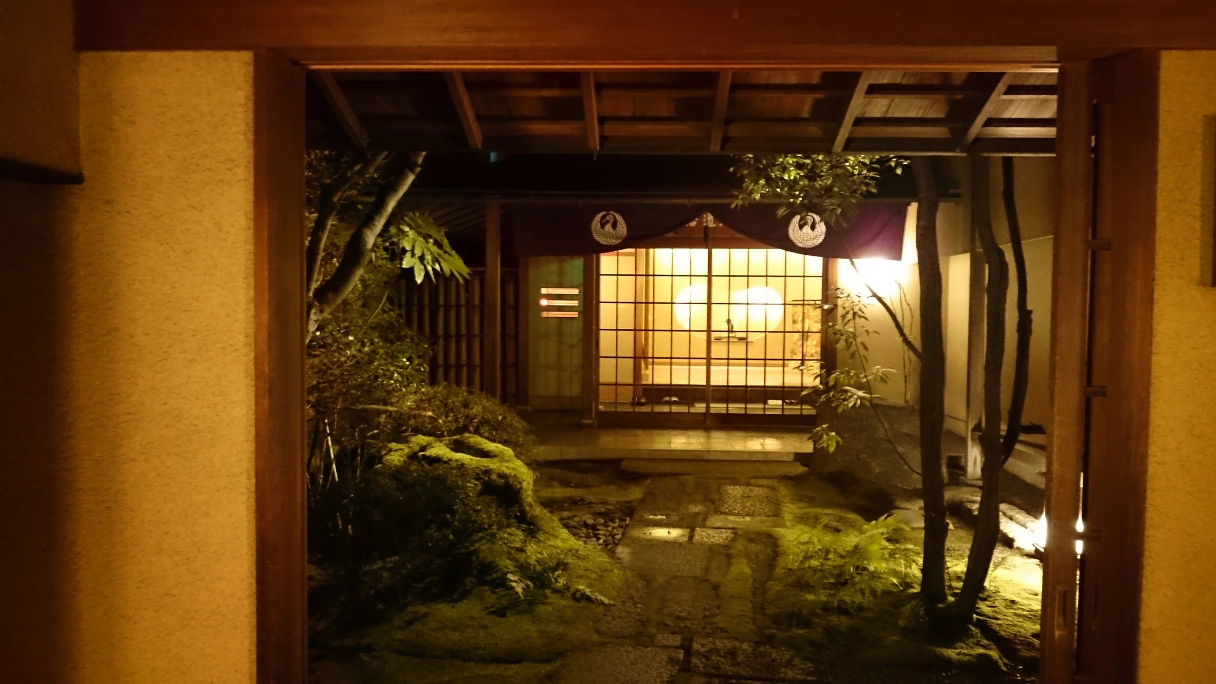 悟道庵点景 | 夜の悟道庵入口。石畳の通路と苔むした岩、木々がライトアップされ、和風の建物の奥に灯りが見える。