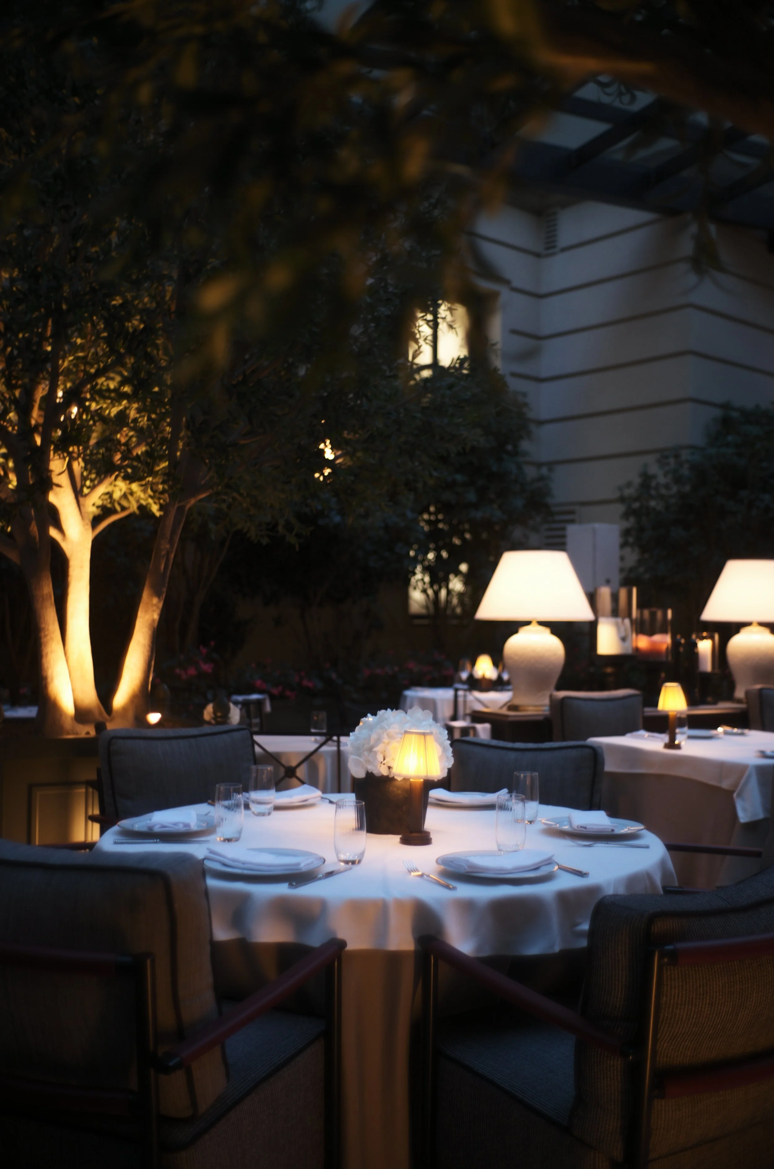 Photo 26-8-2025, 7 22 45 PM.jpg