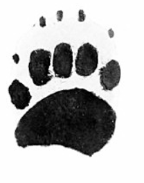 Screenshot 2025-12-30 at 10.42.23 PM.png (Copy) (Copy) (Copy)