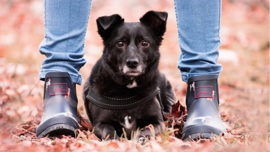 Charakter. Ausdruck. Persönlichkeit.