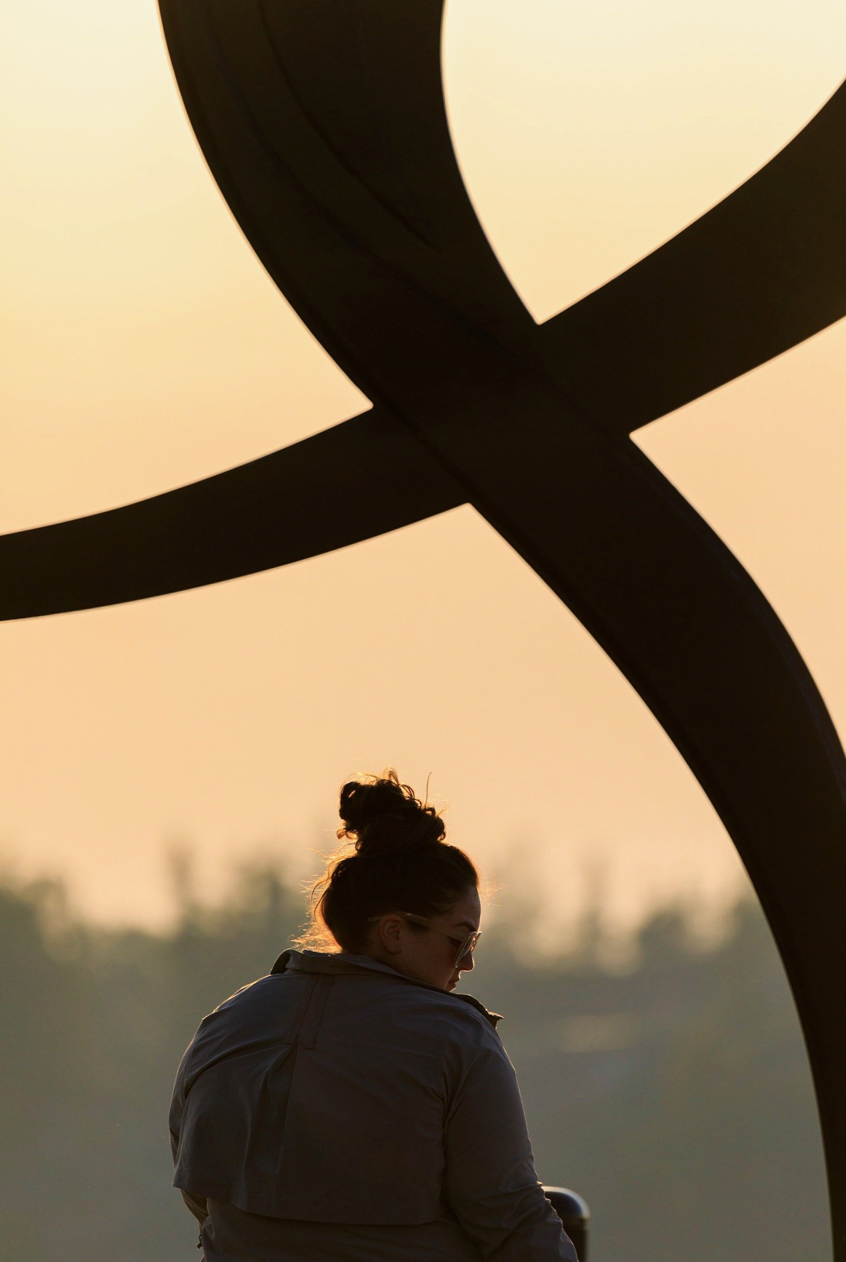 A woman with glasses and her hair in a bun standing outdoors at sunset, with abstract black shapes in the foreground.