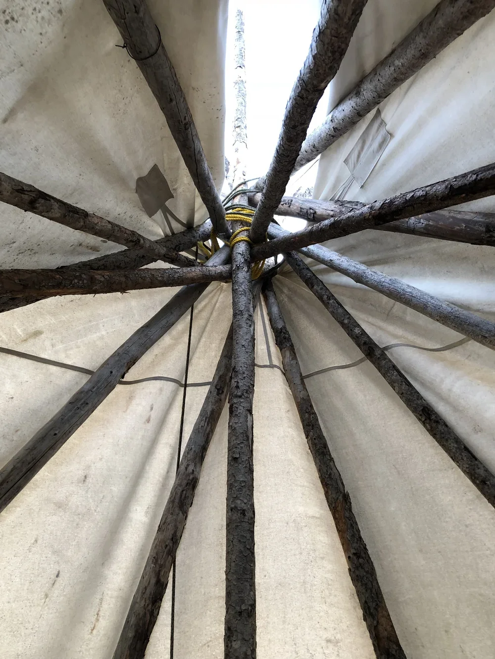 Inside a tipi with wooden poles arranged in a radial pattern and tied together at the top, with fabric walls lining the interior.