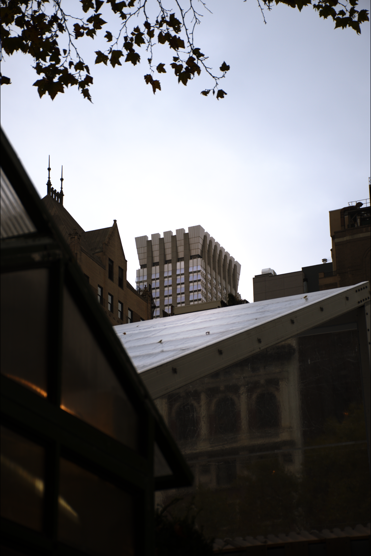 Cityscape with a modern high-rise building, older brick buildings, and a glass roof, under an overcast sky, with tree branches at the top.