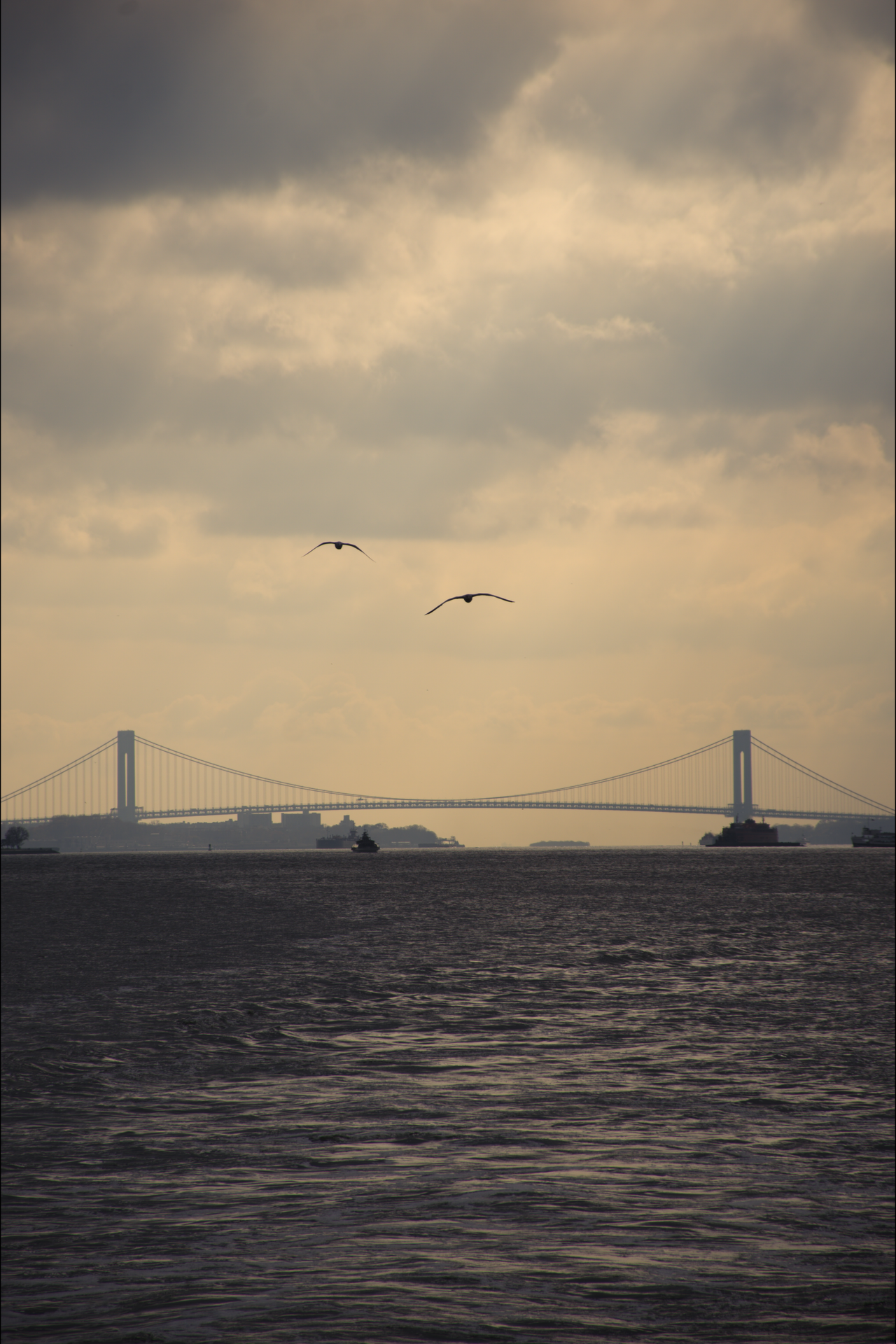 A view of a large body of water at sunset, with a bridge in the background and two birds flying in the cloudy sky.