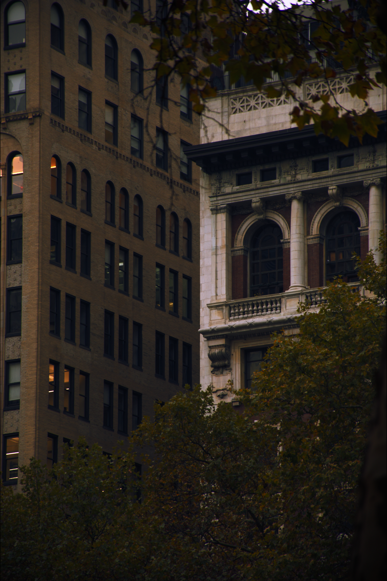 Close-up view of two buildings with autumn trees in the foreground, one is a tall brick building with multiple windows, and the other has classical architectural details with large arched windows and ornate columns.