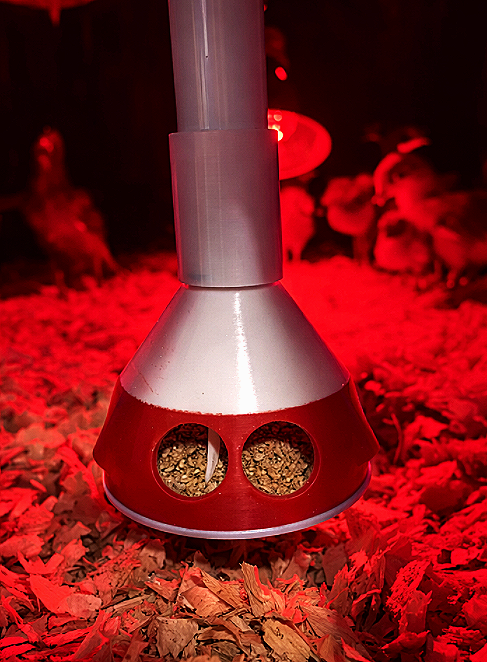 Brooder Feeder
