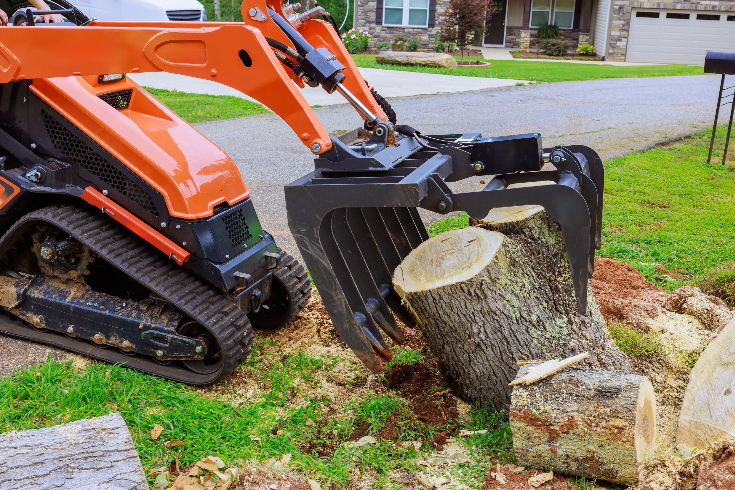 Tree & Stump Removal