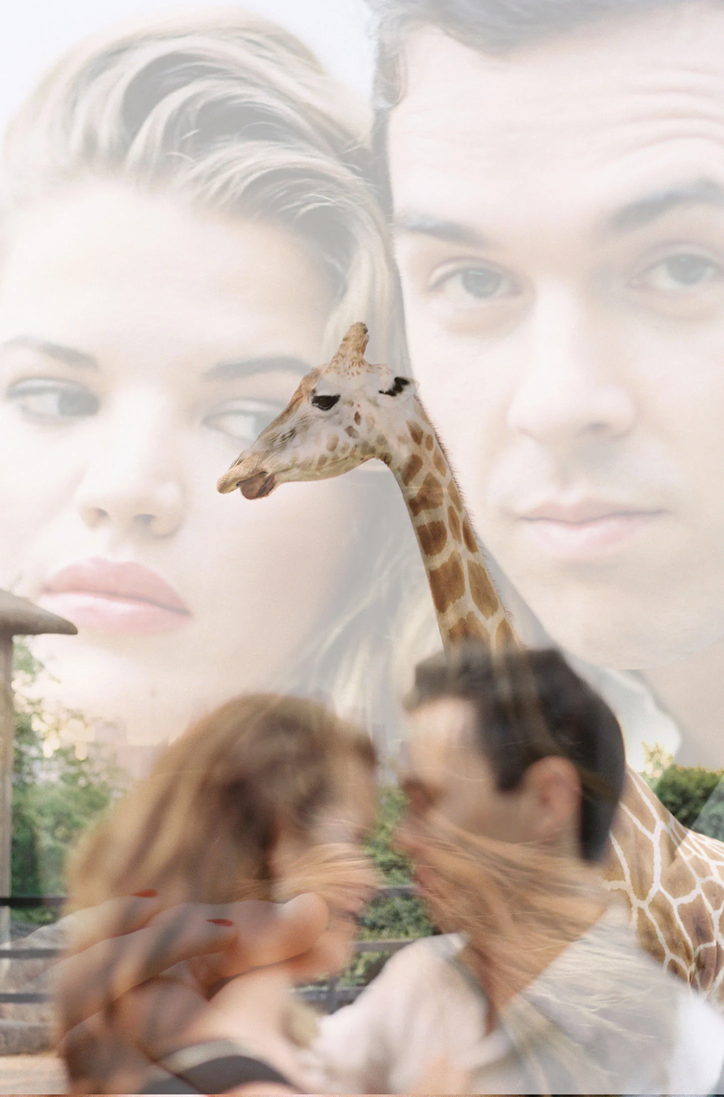 Love Story with Emma Birdsall &amp; Dan May