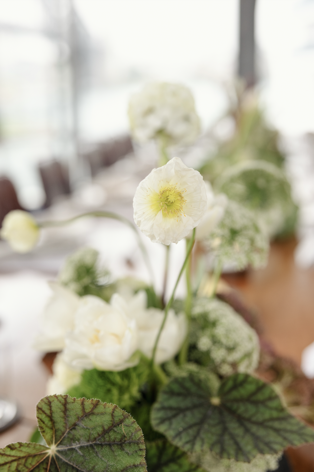 Screenshot 2026-01-17 at 5.33.59 pm.png