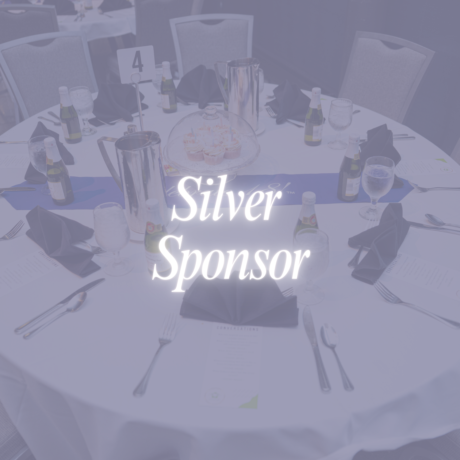 Silver Sponsor