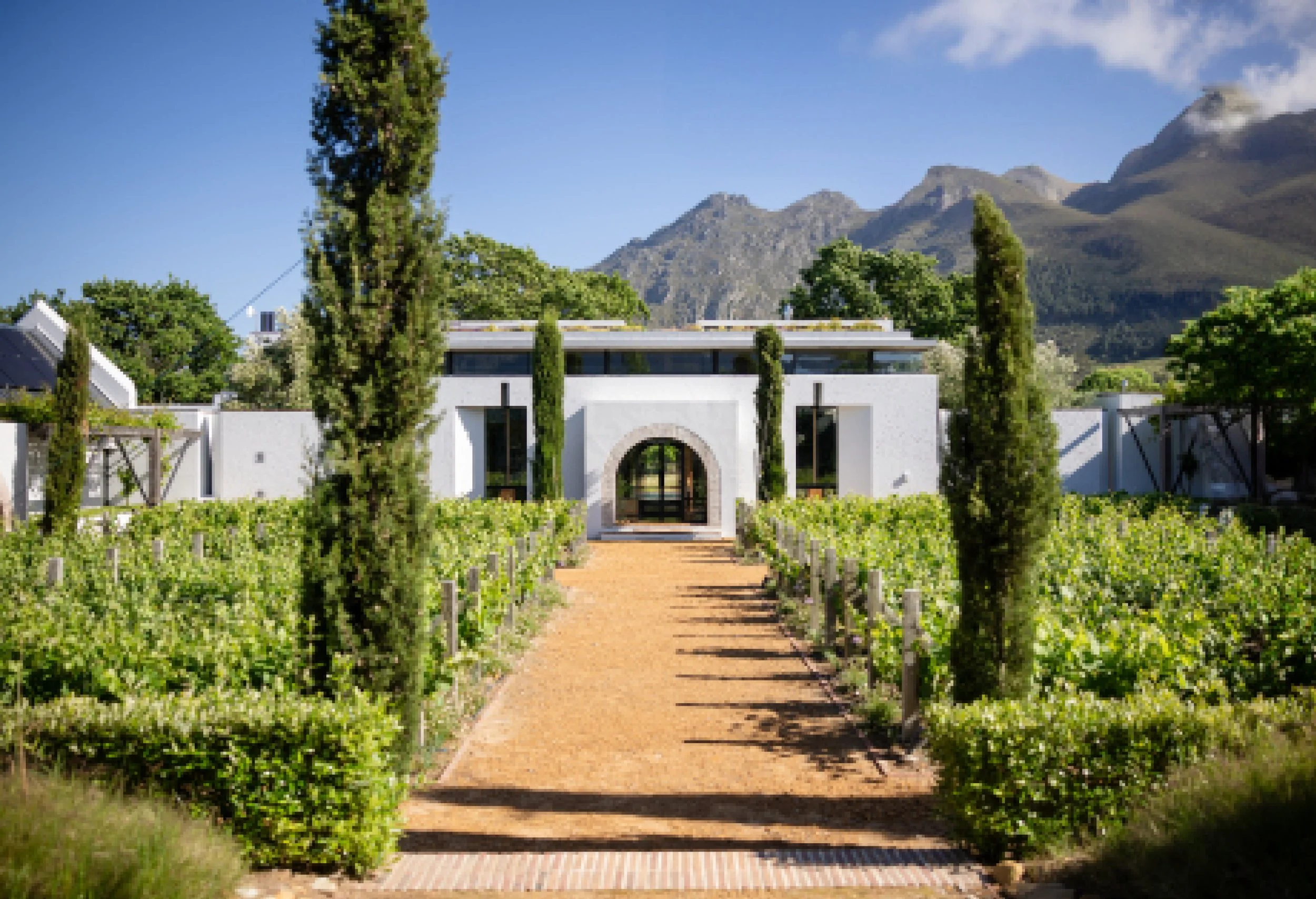 AHC mailer 2025_02 (forelle)6.jpg