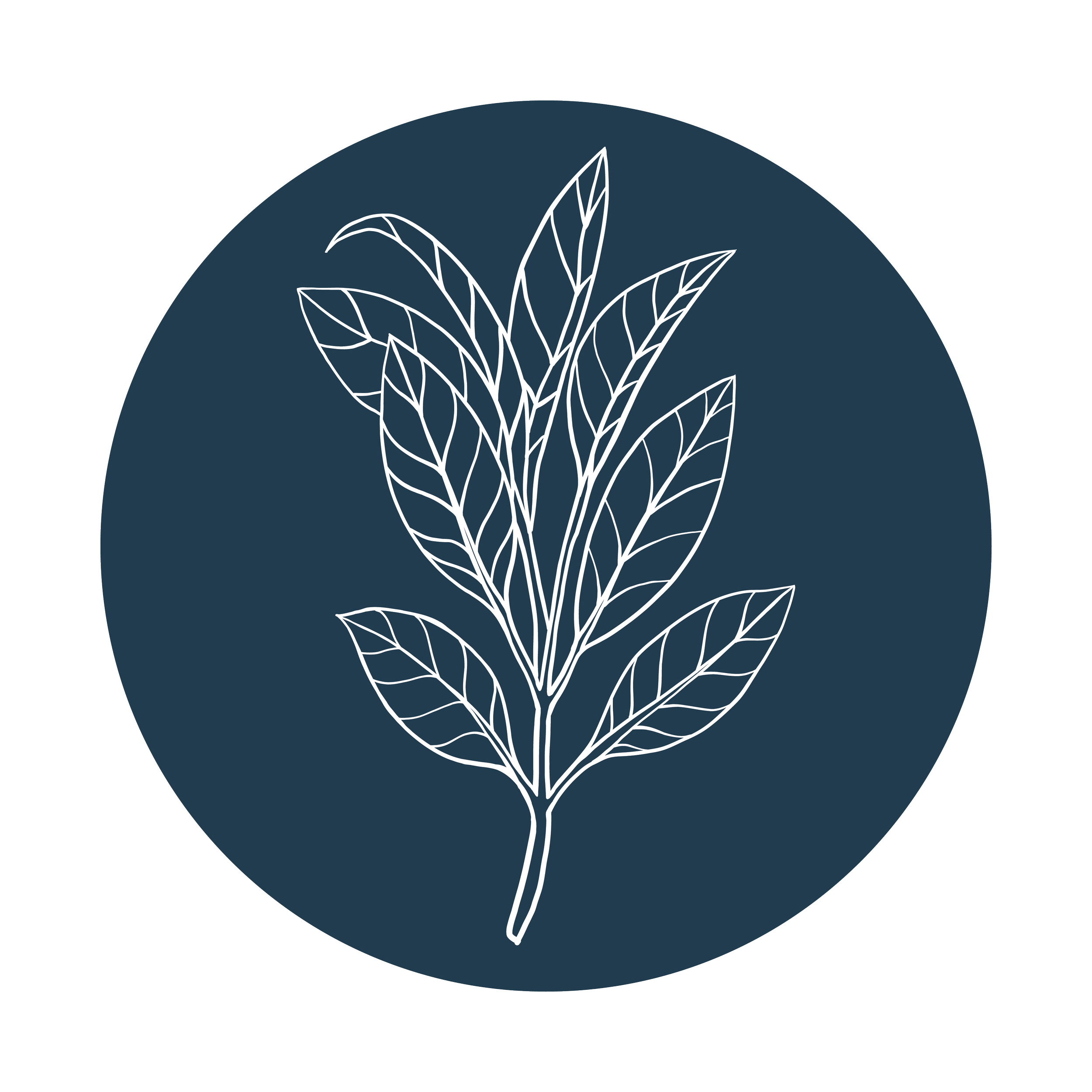 Line drawing of a sage plant with multiple leaves inside a dark blue circle.