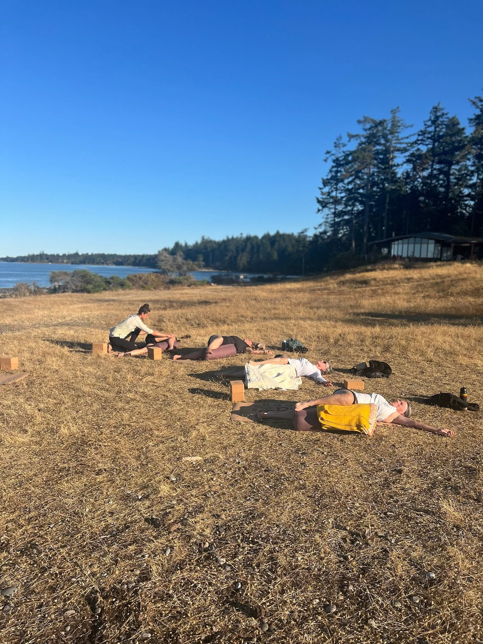 Five people are lying on yoga mats outdoors near a body of water, practicing yoga or meditation.