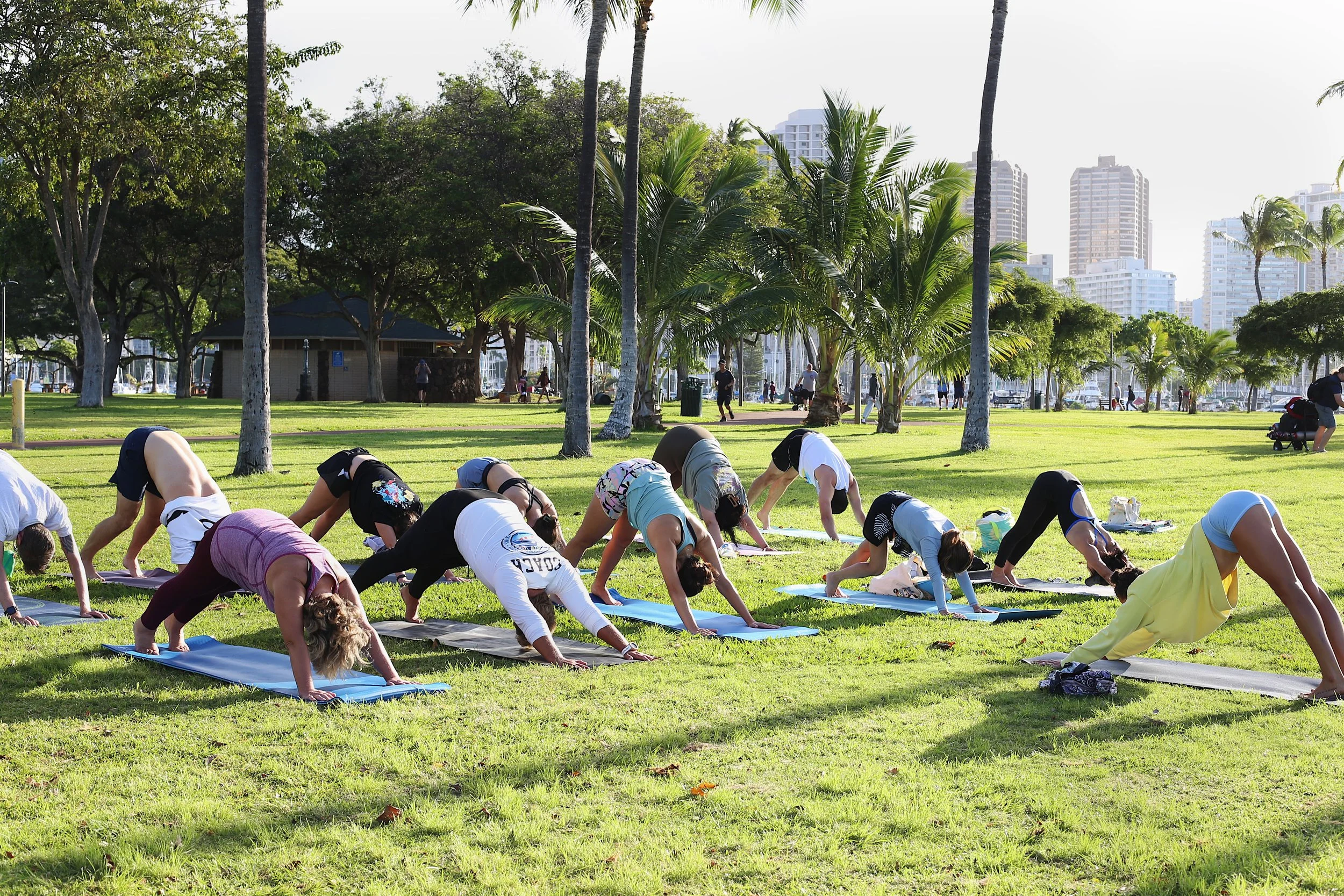 People participating in an outdoor yoga class on a grassy area with palm trees and tall buildings in the background.