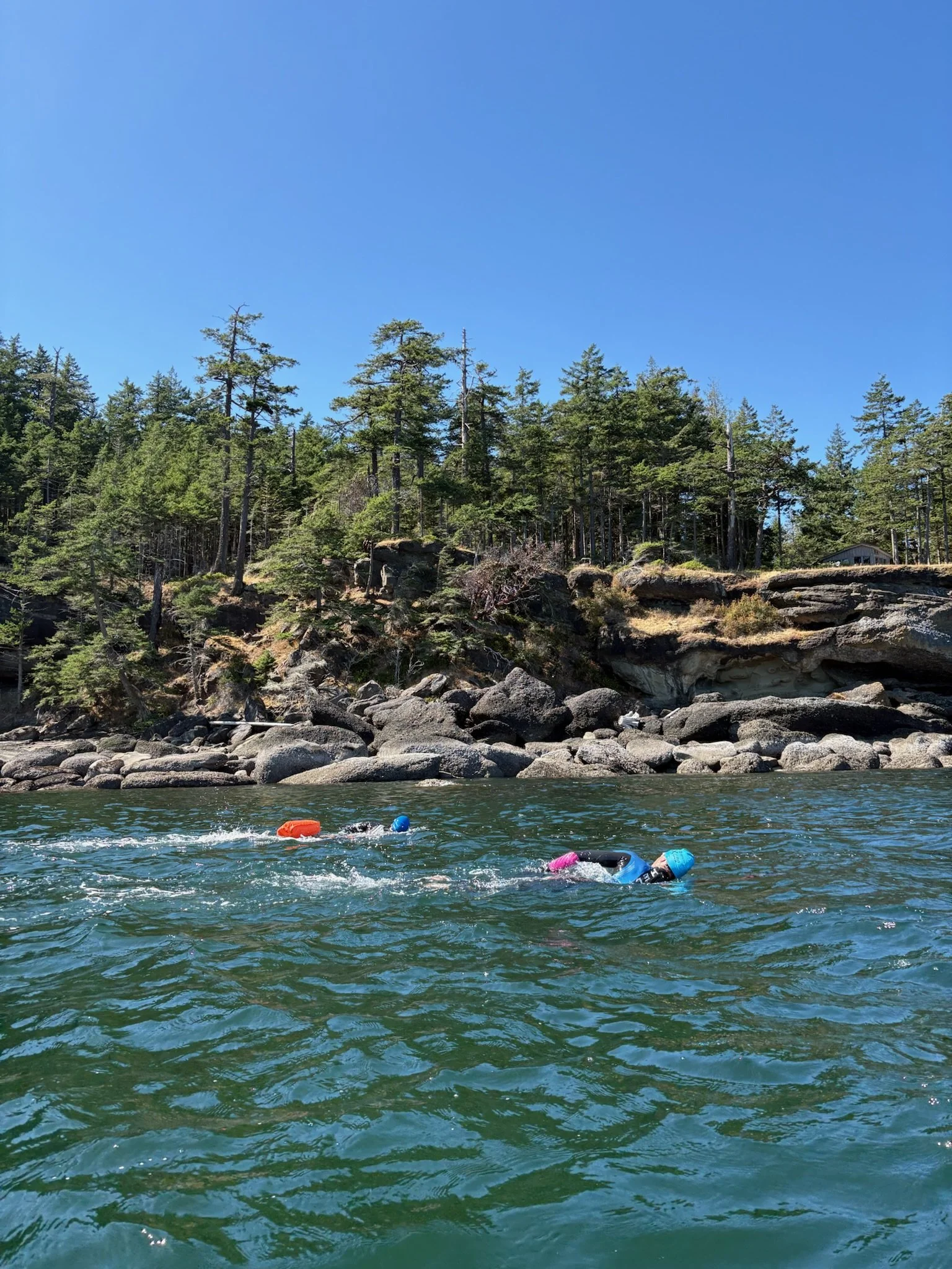 Two people swimming in a river with a wooded shoreline and a bright blue sky.