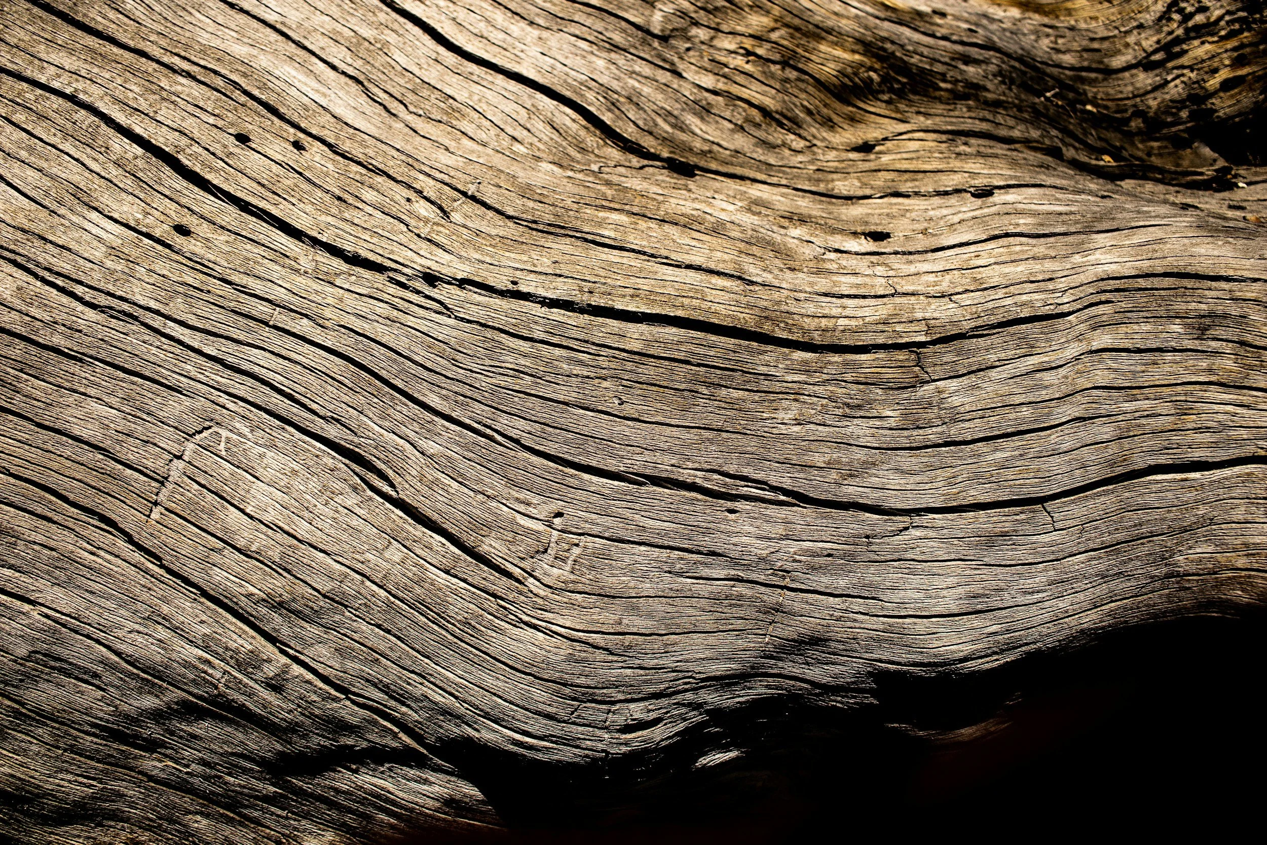 Close-up of weathered, textured wood with visible grain and cracks.