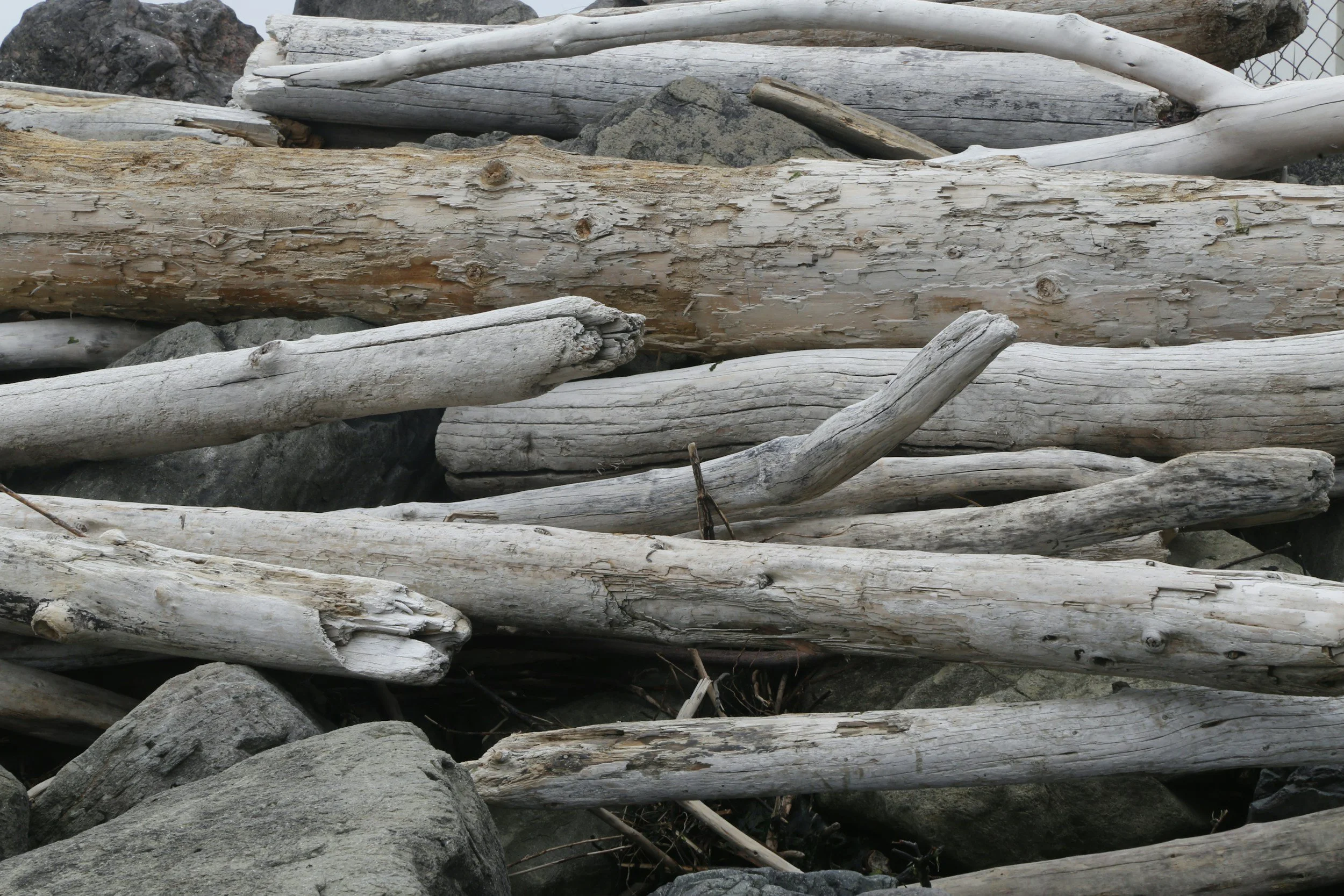 A collection of weathered driftwood logs and rocks on a beach.