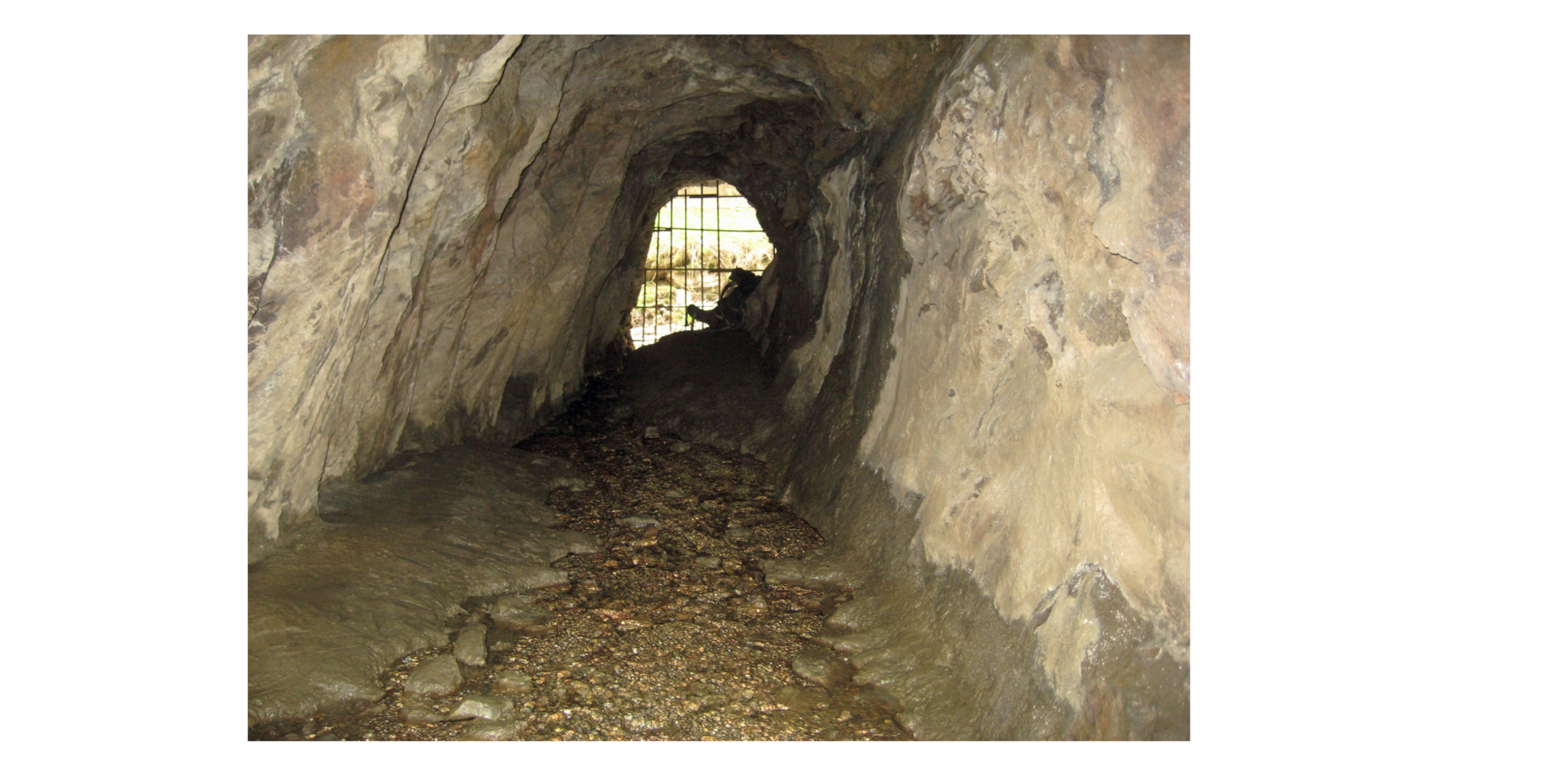 A tunnel inside a cave with rocky walls, a muddy floor, and a metal grate at the end blocking the exit, sunlight visible through the grate.