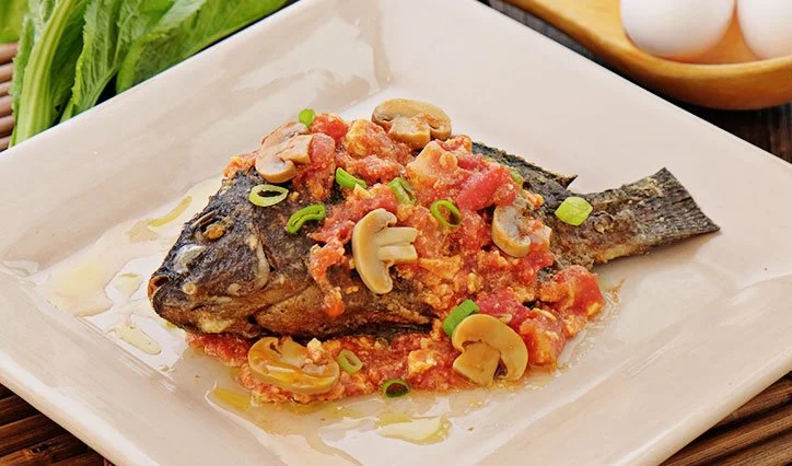 Sarciado - Fish Of The Day