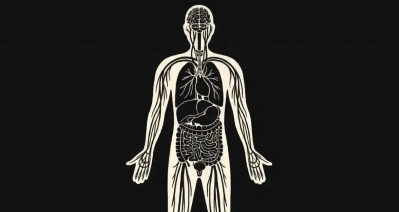 The Interstitium, Revisited, Ruined