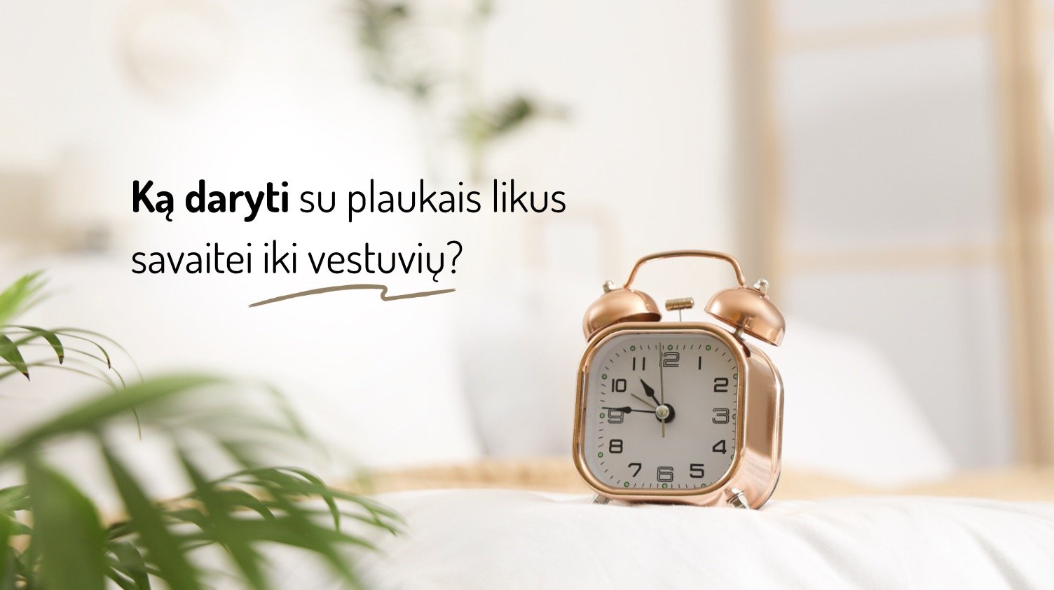 Ką daryti su plaukais likus savaitei iki vestuvių? Profesionalūs patarimai nuotakai