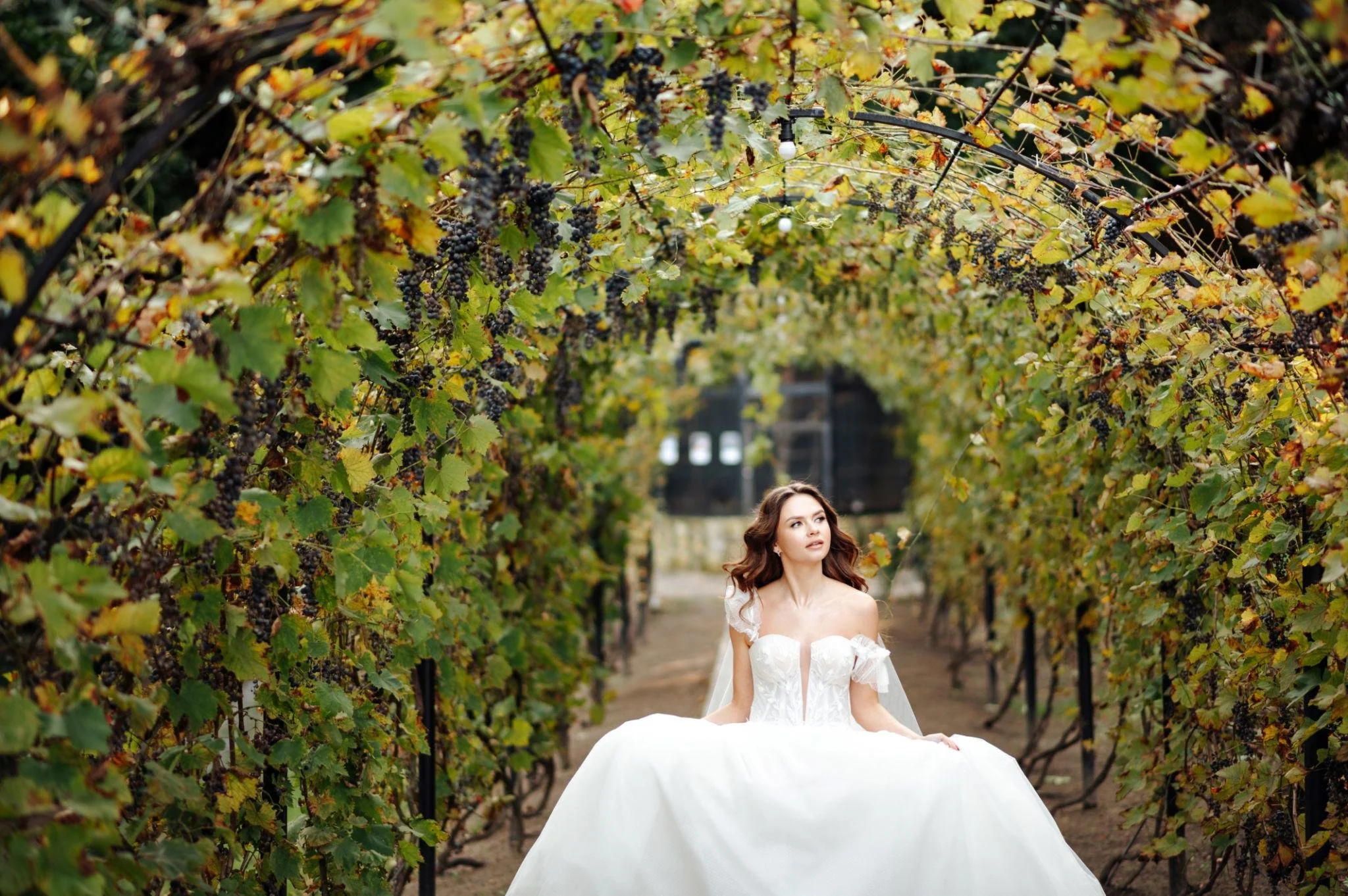 bride woman dress 4.jpeg