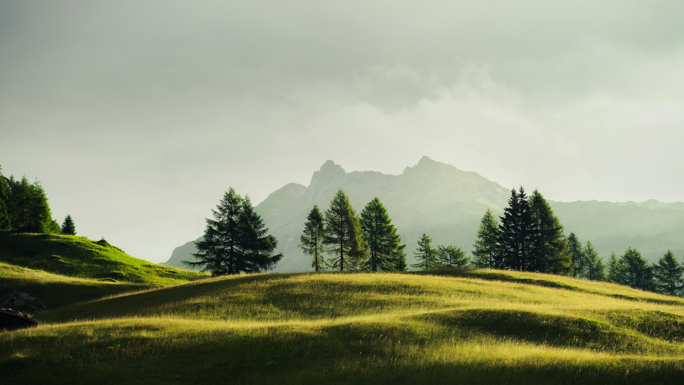 Why Adult ADHD is Often Overlooked: Insights from Clinical Experience 