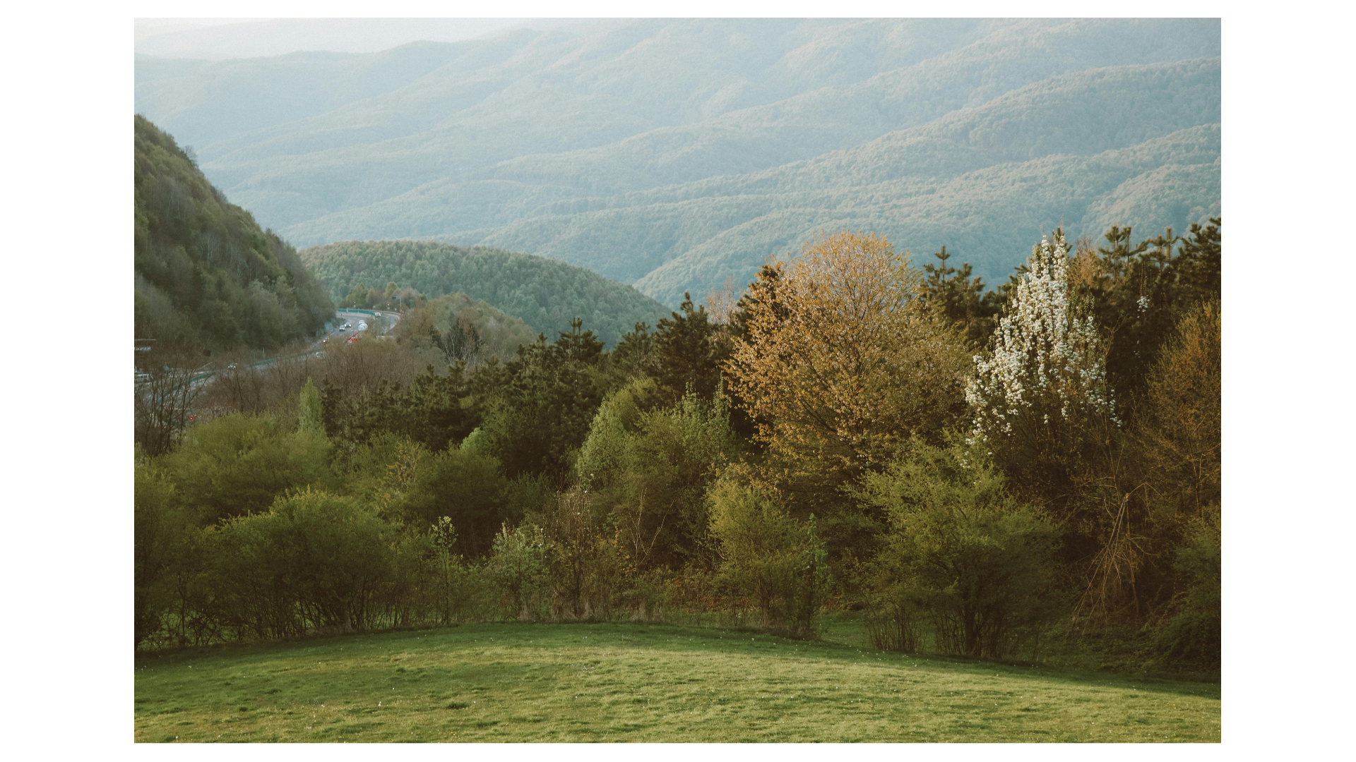 Beyond the "Squirrel!": What Living with Adult ADHD Actually Feels Like