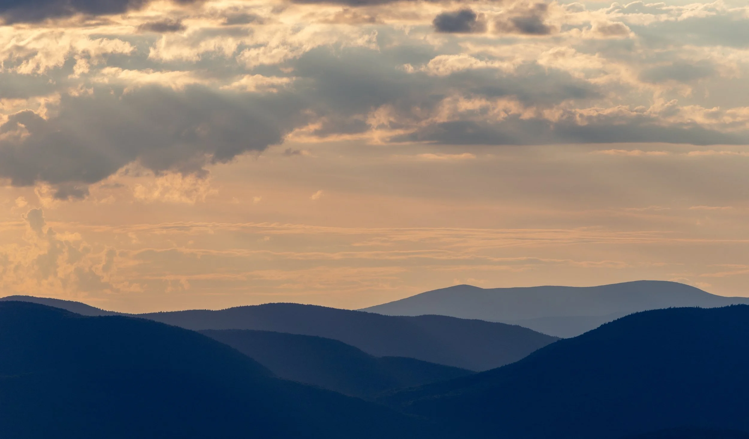 Why is ADHD Often Linked to Weight and Binge-Eating?