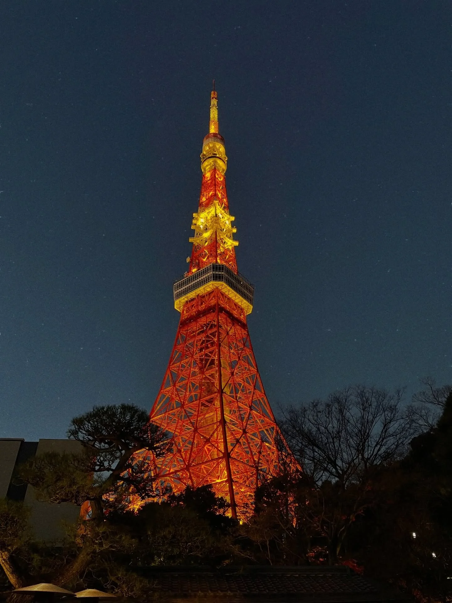 I would say : &laquo;&nbsp;bonjour madame&nbsp;&raquo; 🗼

Would you prefer the Eiffel Tower or the Tokyo Tower?

#tokyotower #tokyotrip #solojapantrip #tokyoskyline #minato