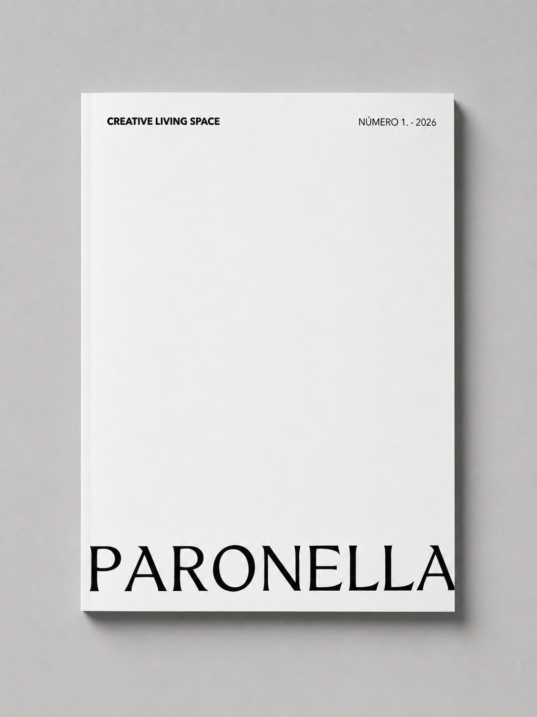 MAGAZINE CREATIVO EN FORMATO DIGITAL (Nº1)