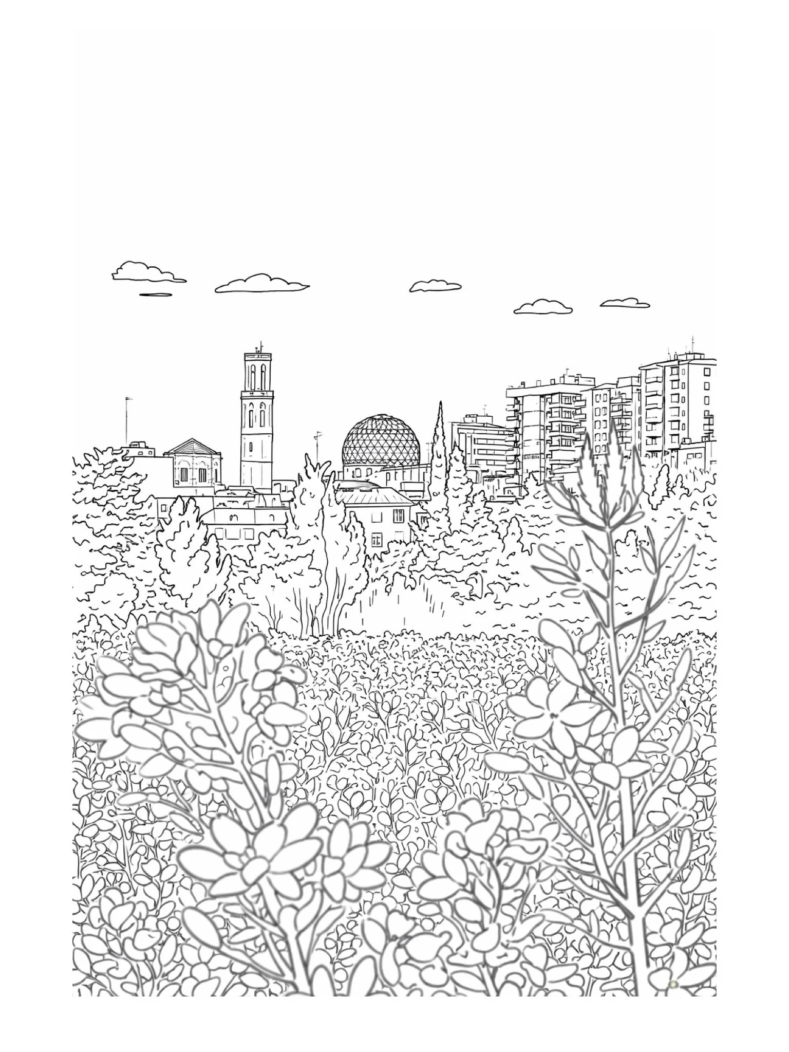 PARONELLA MAGAZINE 1.6.jpeg