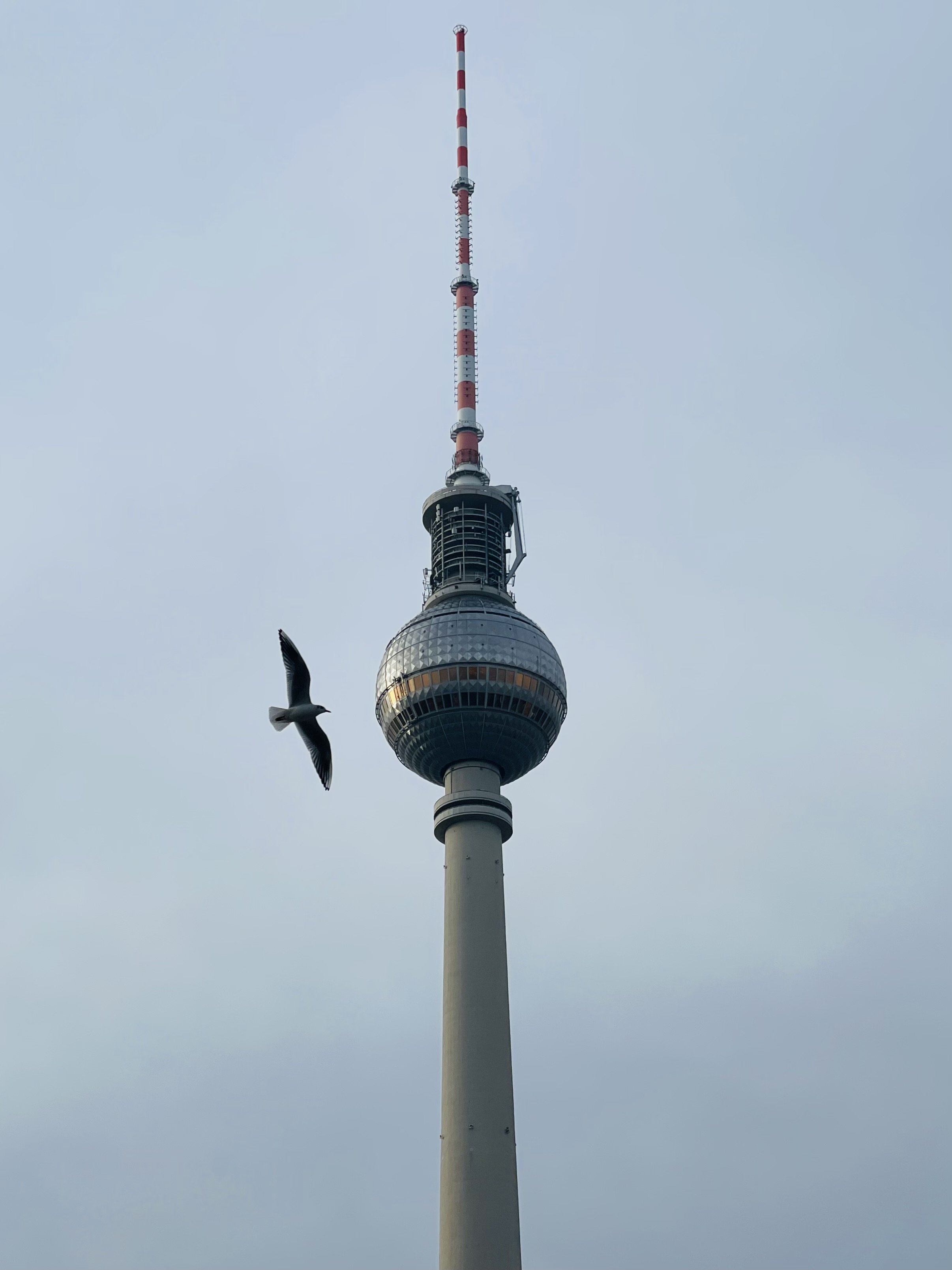 „Wer hält ihre Hand, wenn sie gehen?“: Warum ich ehrenamtlich Sterbende begleite