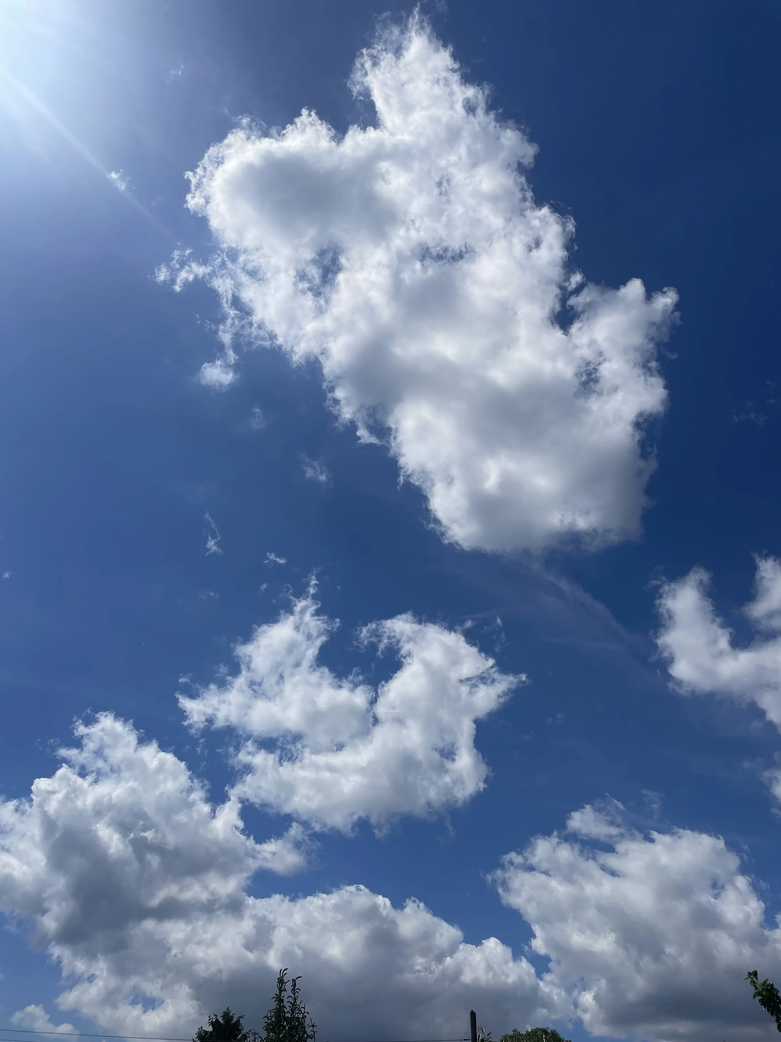 Berlin trauert nicht mit